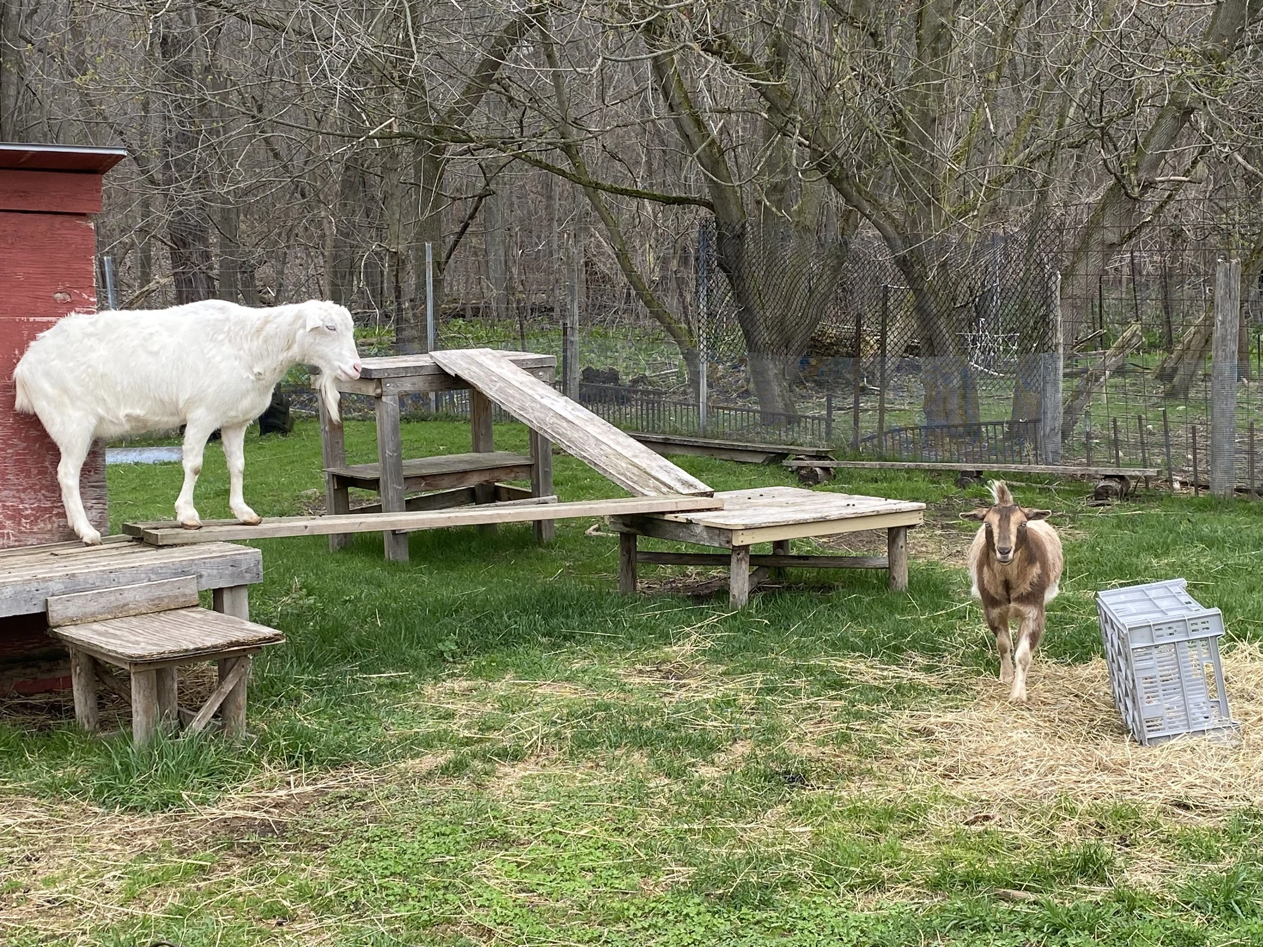 Circle R Ranch | Connect with Nature Today