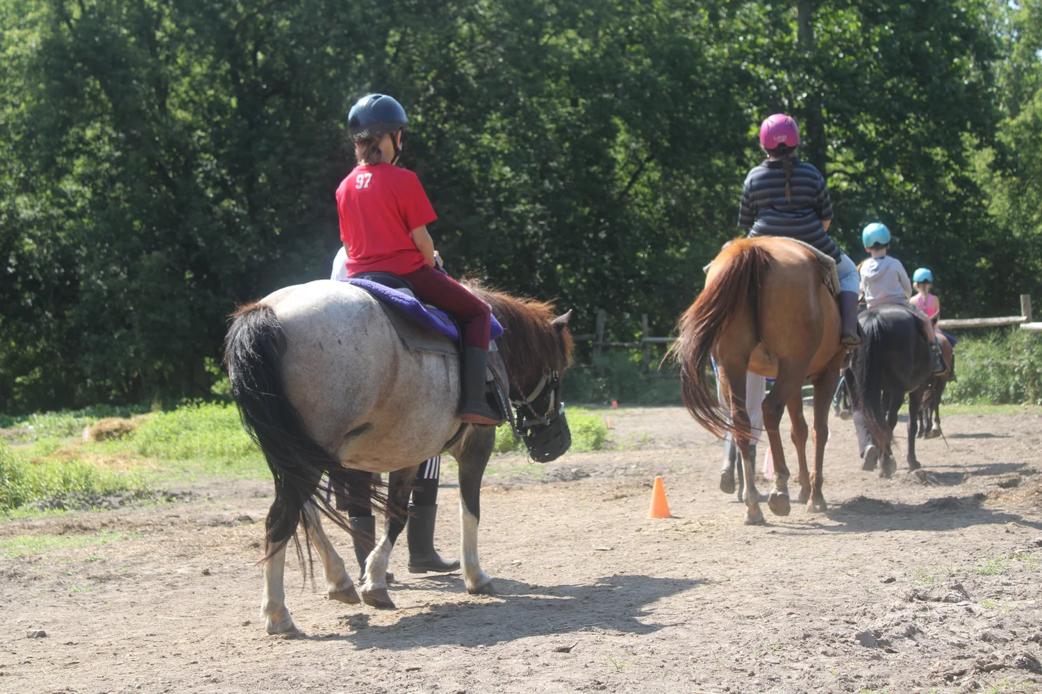 Trail Riding and Lessons | Enjoy Scenic Rides Today — Book Your ...