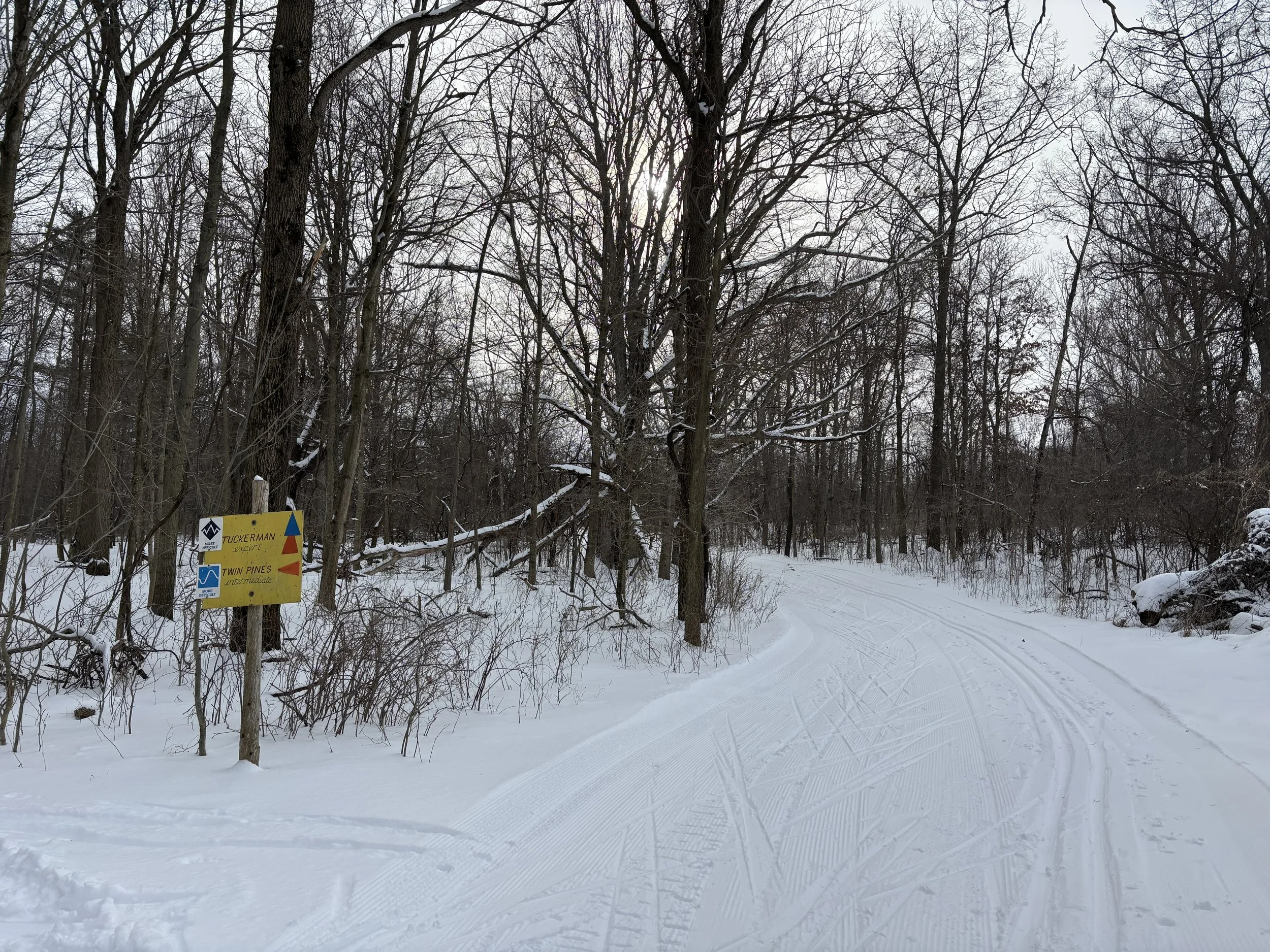 Snow-covered trail in a forest with a sign that reads 'Tuckerman Conservancy, Twin Pines, Intermediate'.