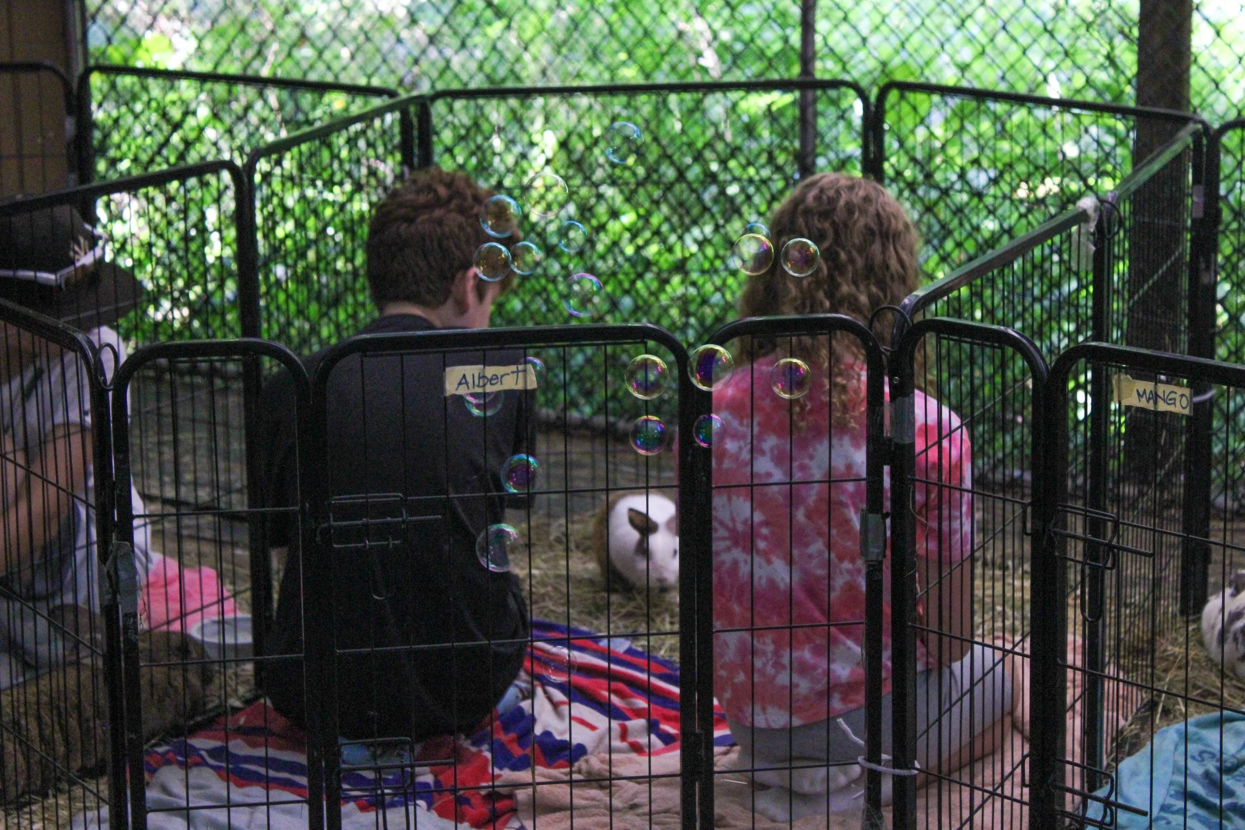 Two children sitting inside a small animal enclosure, facing away from the camera, with bubbles floating around them. The child on the left has dark hair and is wearing a dark jacket with a name tag that says 'Albert'. The child on the right has curl