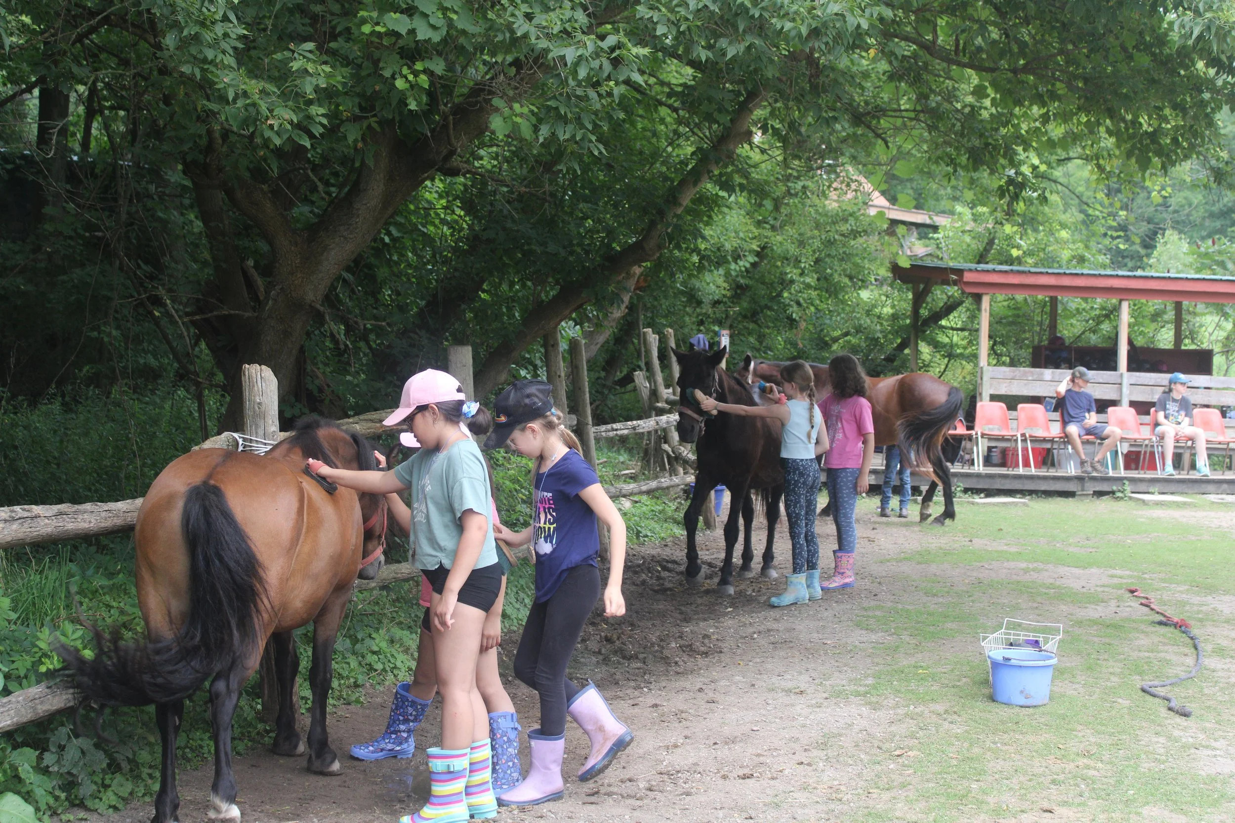 Children grooming and caring for ponies at a farm or petting zoo, with a wooden fence, trees, and a seating area with people in the background.