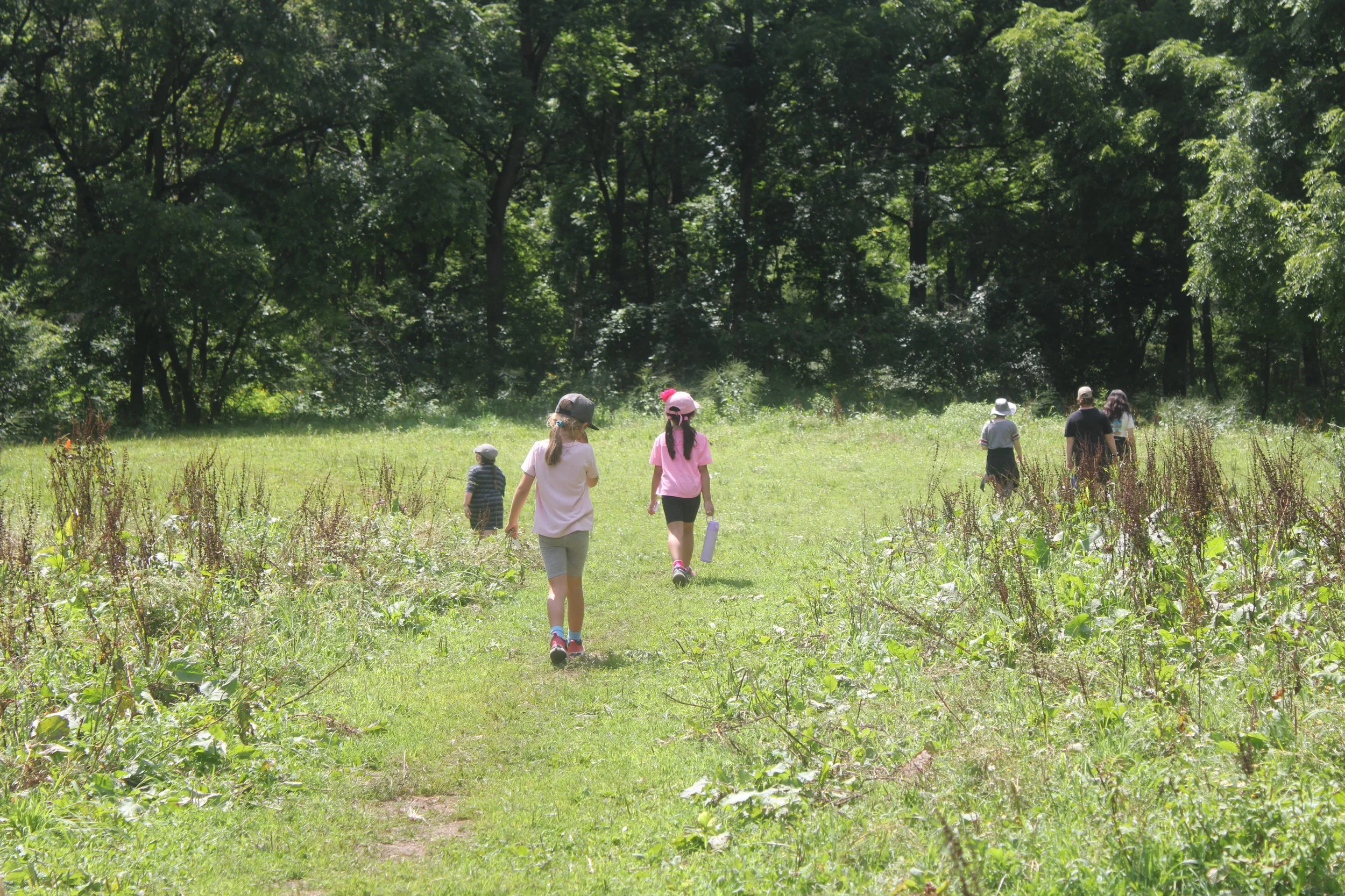 Group of children and adults walking on a grassy trail in a green forest.
