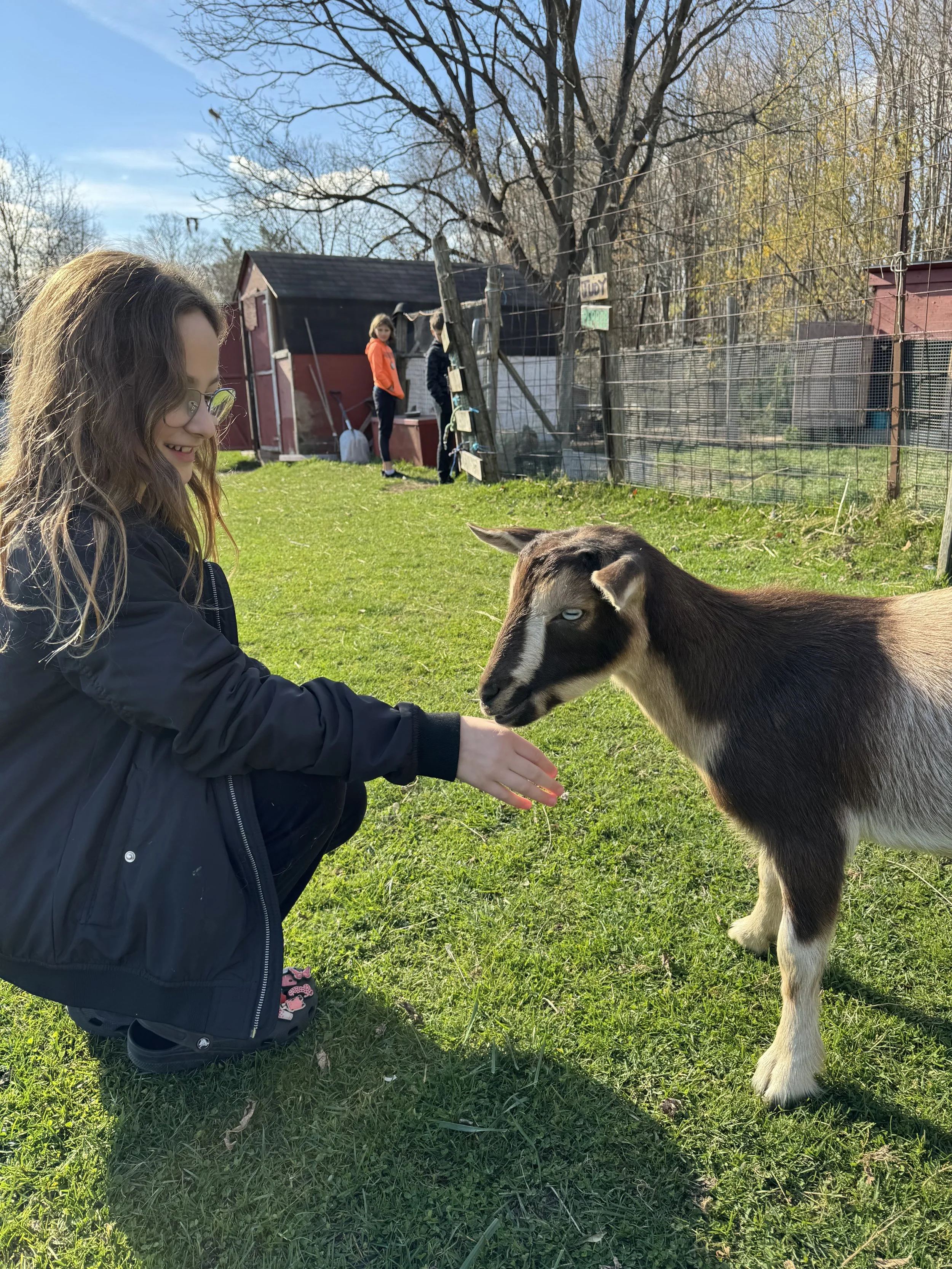 A young girl in a black jacket and glasses is kneeling on the grass, feeding a goat at a farm or petting zoo. Other children are in the background near a red barn, with trees and a blue sky above.