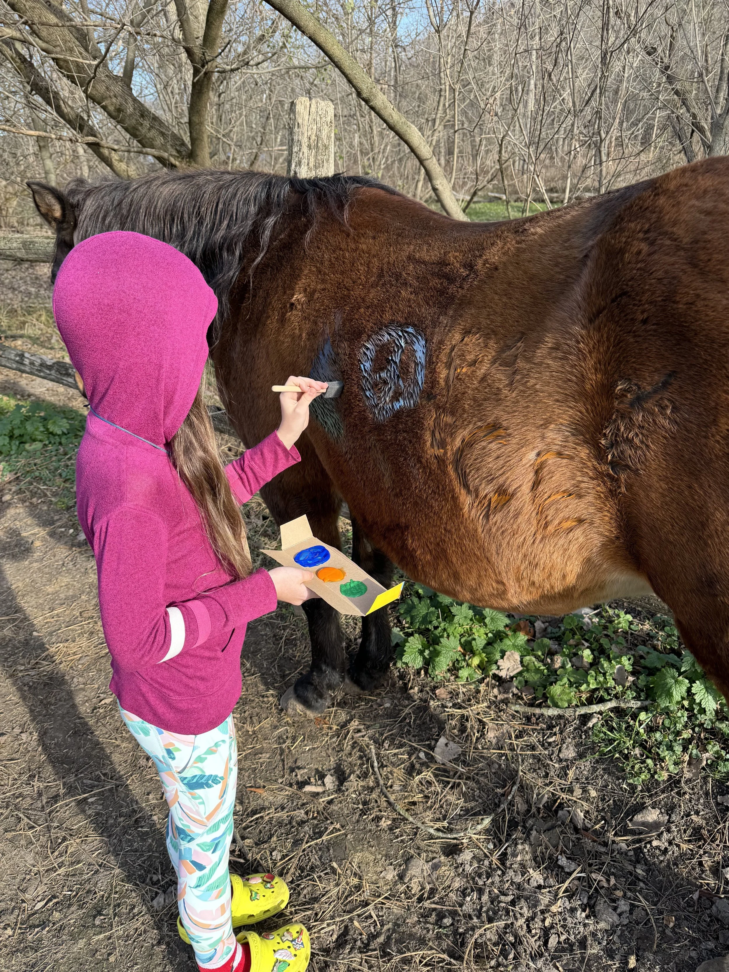 A girl in a pink hoodie and patterned pants is painting a heart on a horse's side with a small paintbrush. The girl holds a wooden palette with three colors of paint, and the horse is standing outdoors near a wooden fence with leafless trees in the b