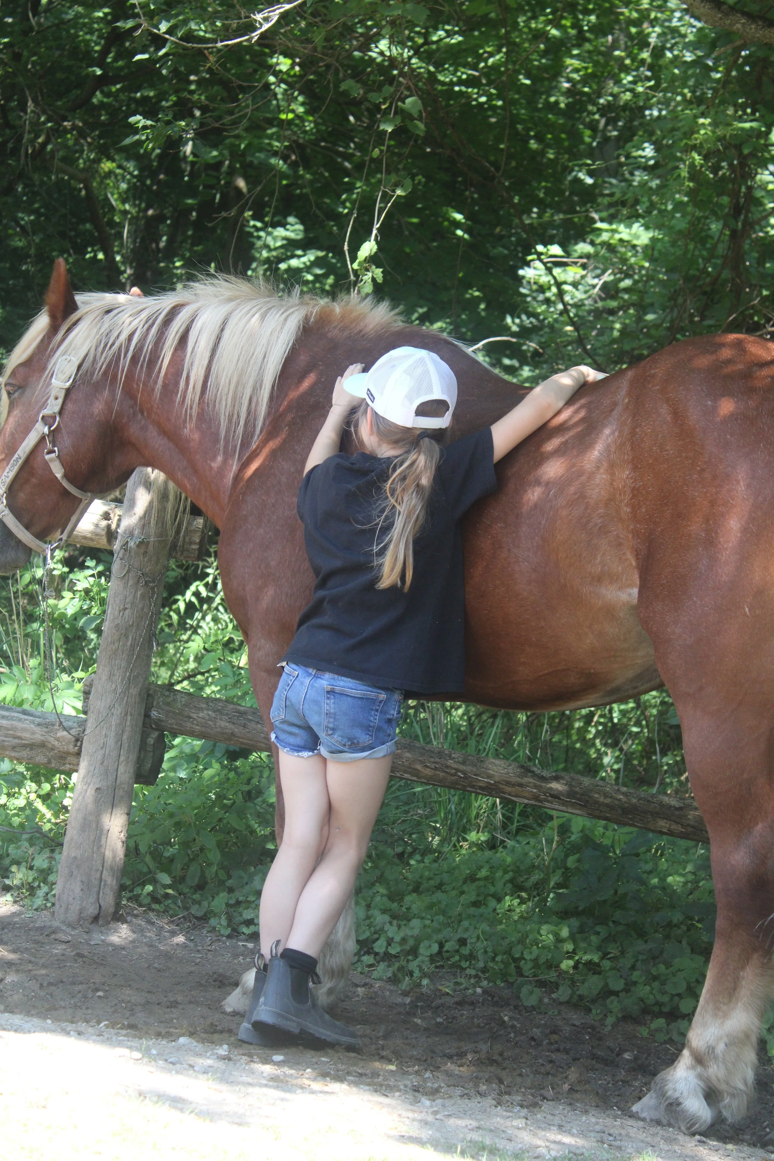 A girl hugging a brown horse with a blonde mane in a wooded area.