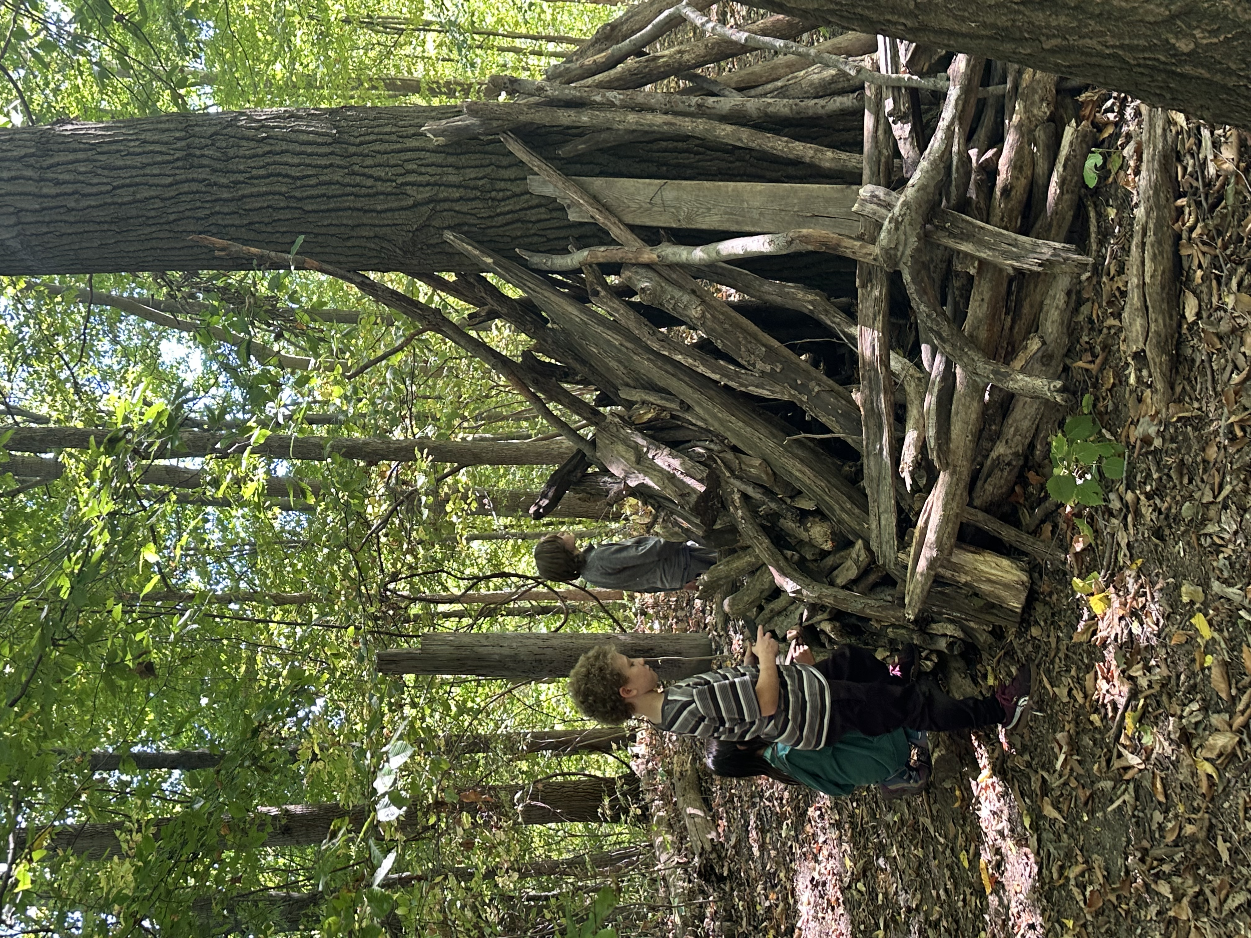 Children exploring a wooded area with fallen branches and leaves, surrounded by tall trees and dense greenery.