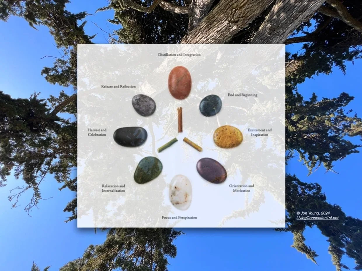 Diagram of a spiritual or personal growth process represented by various colorful stones arranged in a circle on a white background with labels for different stages like 'Release and Reflection,' 'Harvest and Celebration,' 'Relaxation and Internalization,' 'Focus and Perspiration,' 'Orientation and Motivation,' 'Excitement and Inspiration,' and 'End and Beginning.' The background features the sky and tall trees.