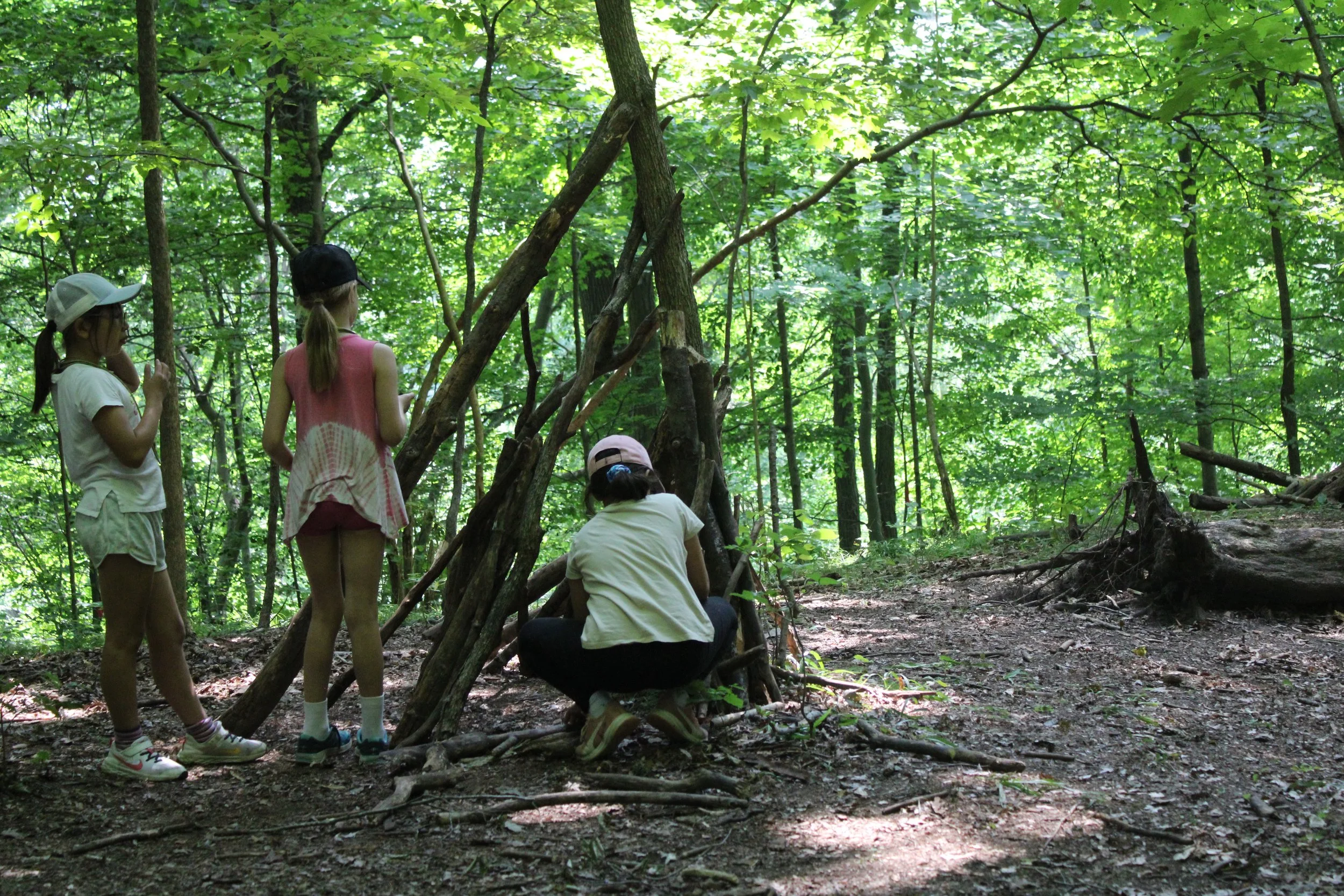Four girls are in a lush green forest, one is kneeling and making a small shelter with branches, while the other three stand nearby observing.