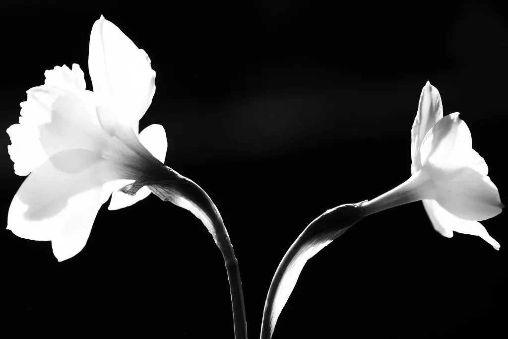 Always, We Begin Again