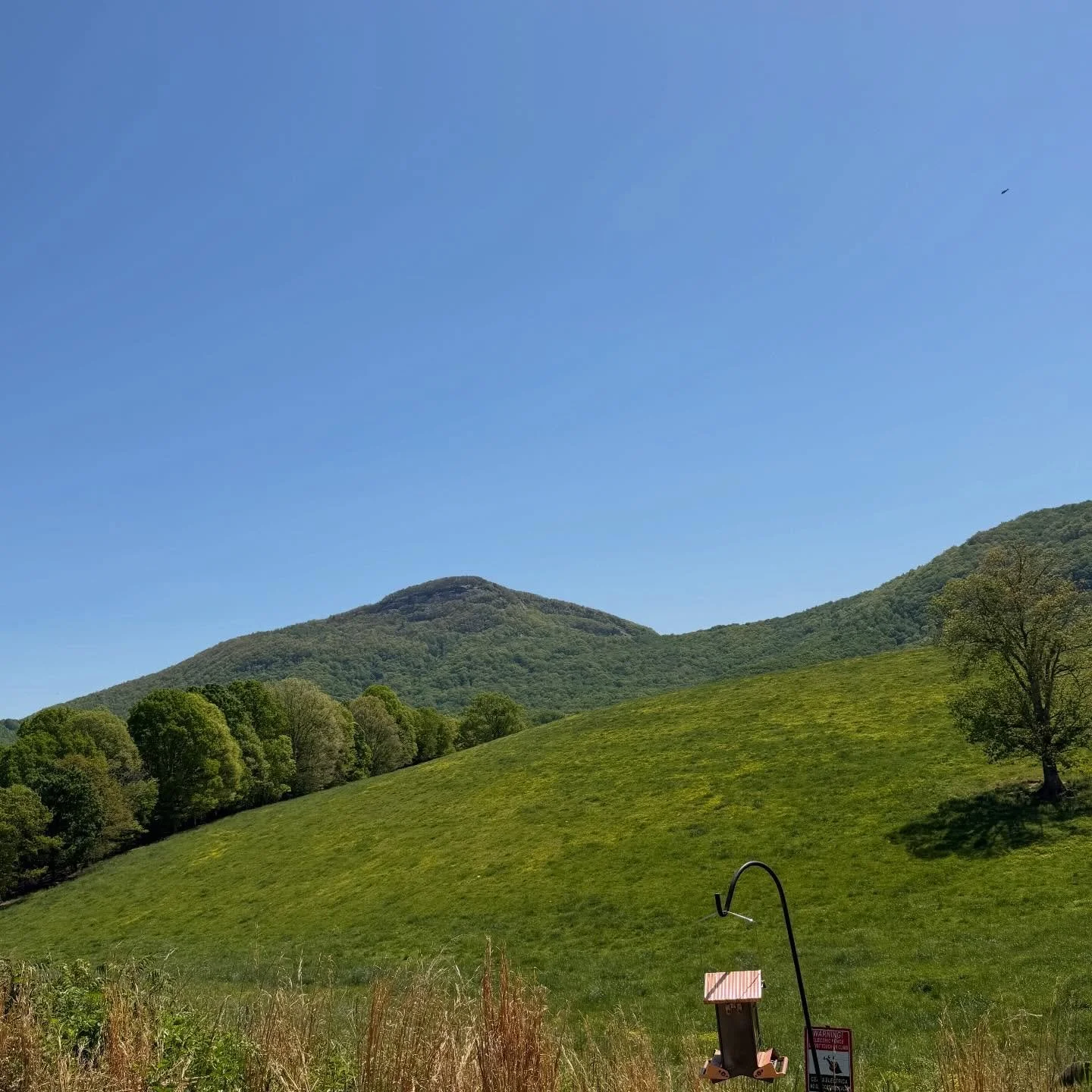 Plains of Peace and Hills of Joy

&ldquo;Rejoice in the Lord always. Again I will say, rejoice!&rdquo;
&mdash; Philippians 4:4

  Great day today. Took care of my soul 🙏🏽🩵💯

&ldquo;Praise is for what He has done; worship is for who He is.&rdquo;
