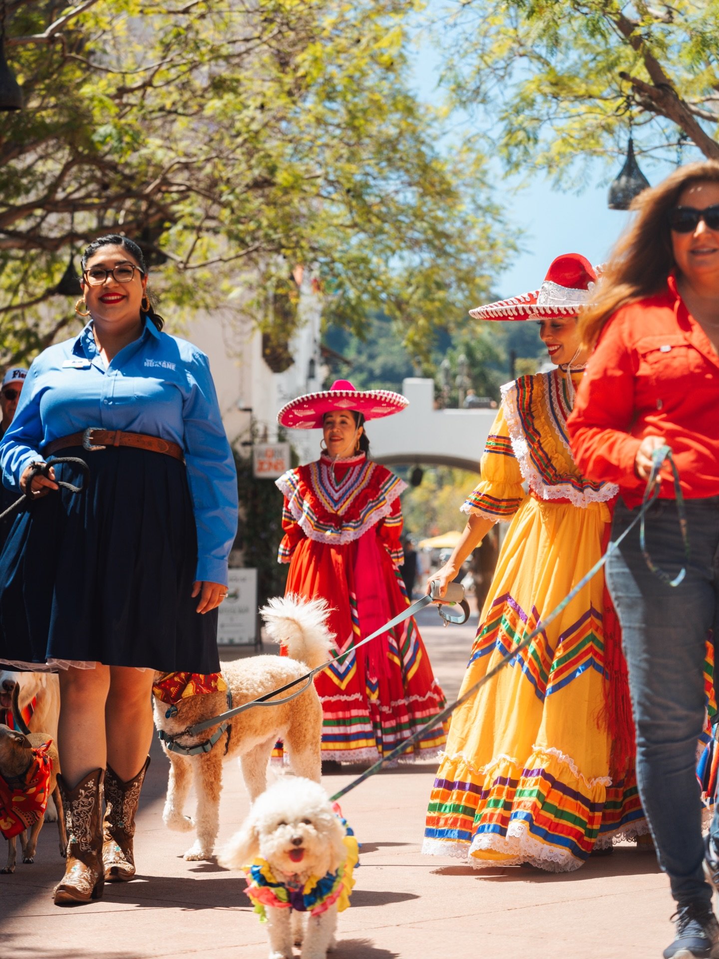Who let the dogs out?! 🐕🦮🐩🐕&zwj;🦺

@oldspanishdays, @paseonuevosb &amp; @sbhumane are hosting the 1st annual Fiesta Dog Parade! Join us for a joyful, family-friendly celebration of Santa Barbara&rsquo;s culture, community spirit, and love of dog