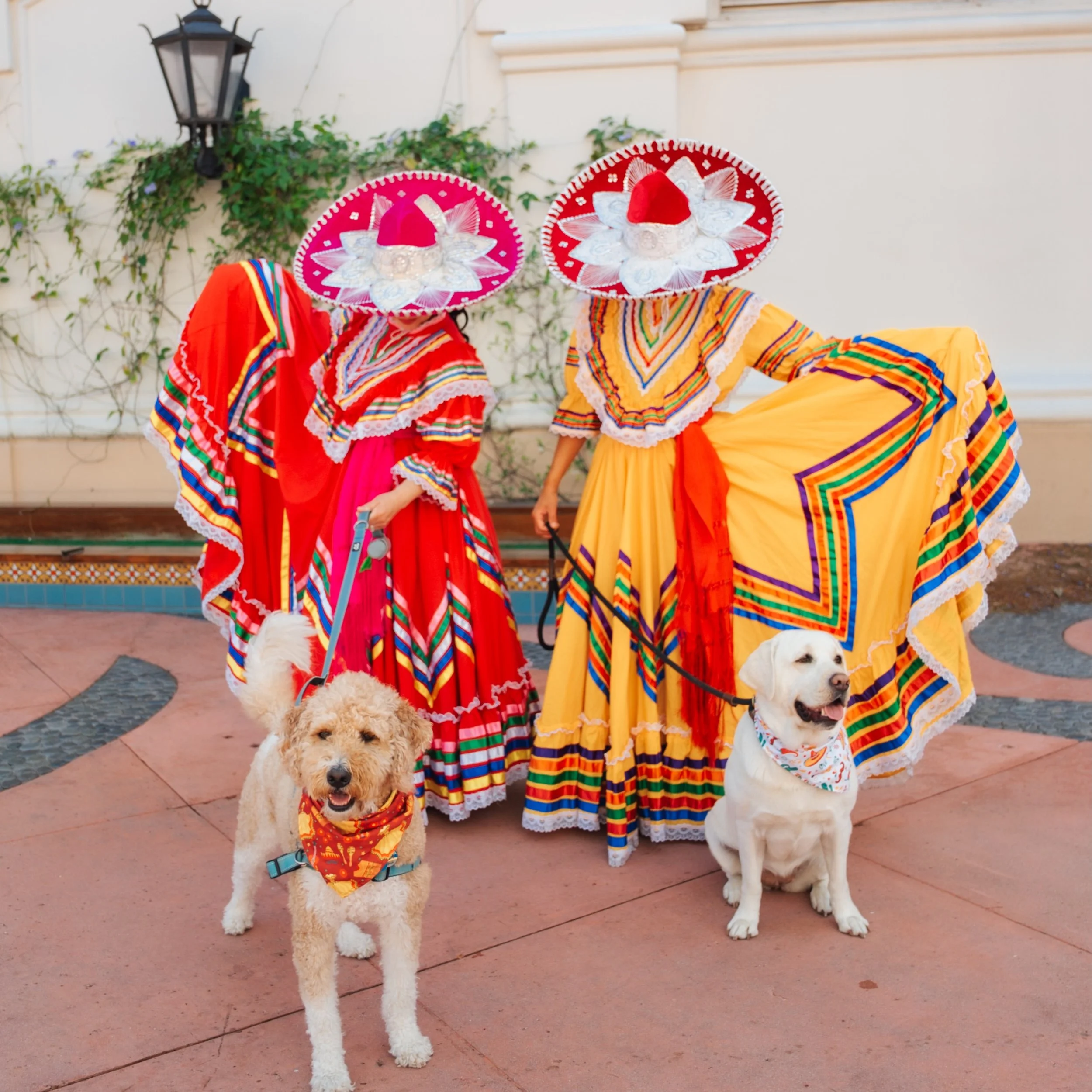 Santa Barbara, in case you haven&rsquo;t heard... there&rsquo;s about to be a parade of dogs in Fiesta outfits 🐕🐩🐕&zwj;🦺💃

TOMORROW (Saturday), we&rsquo;re teaming up with @sbhumane and @oldspanishdays for the very first annual Fiesta Dog Parade