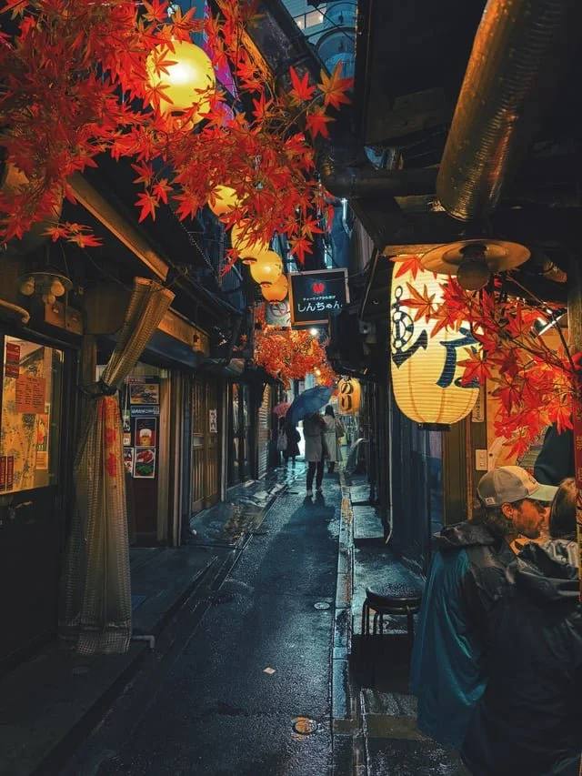 tokyo-at-night-v0-tq37mzbu28nf1.jpg