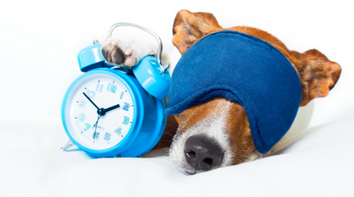 How To Smoothly Transition Your Child To Daylight Saving Time, Spring Forward!