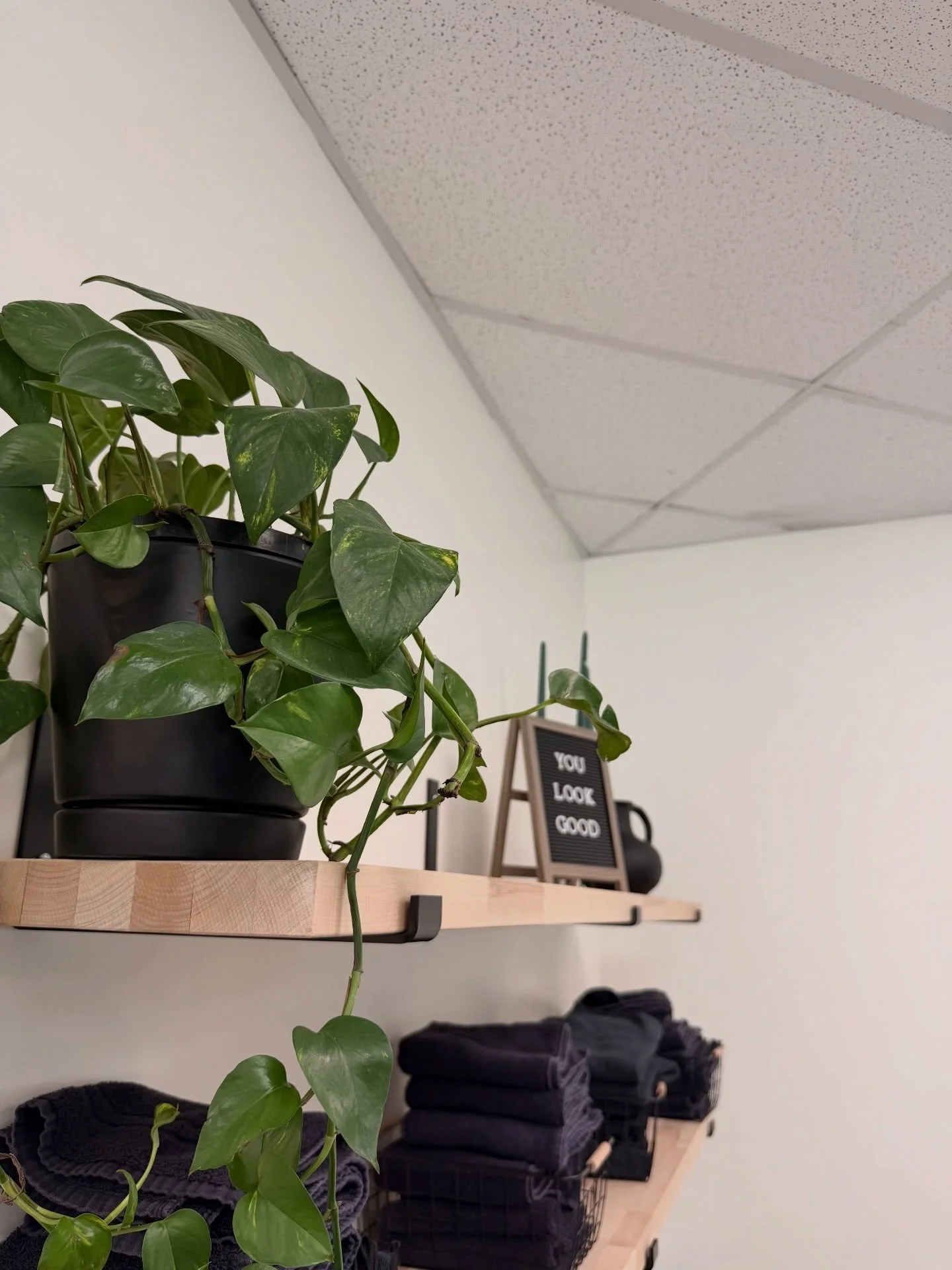 Heathly plants + small reminders 😉 

#hairsalon #gwinnettcountyhairsalons #sugarhill #downtownsugarhillga #bufordhairsalon