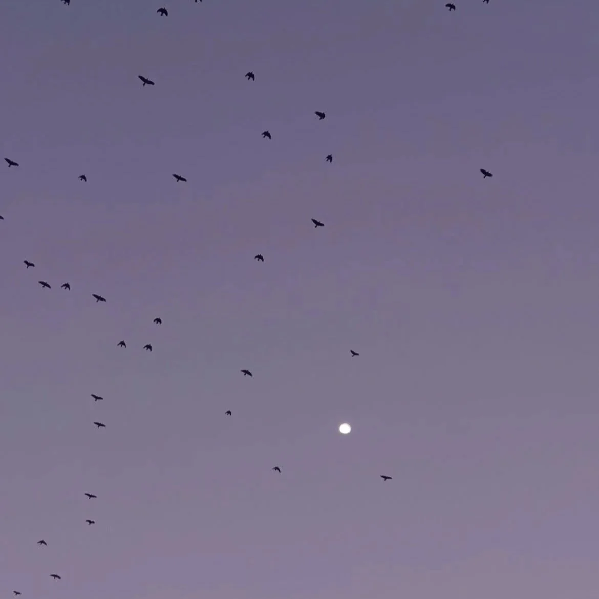 God’s Daily Provision