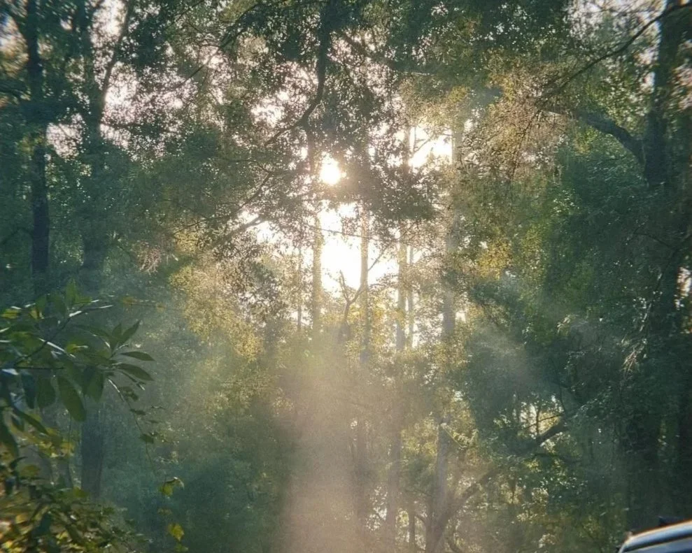 How To Be A Light