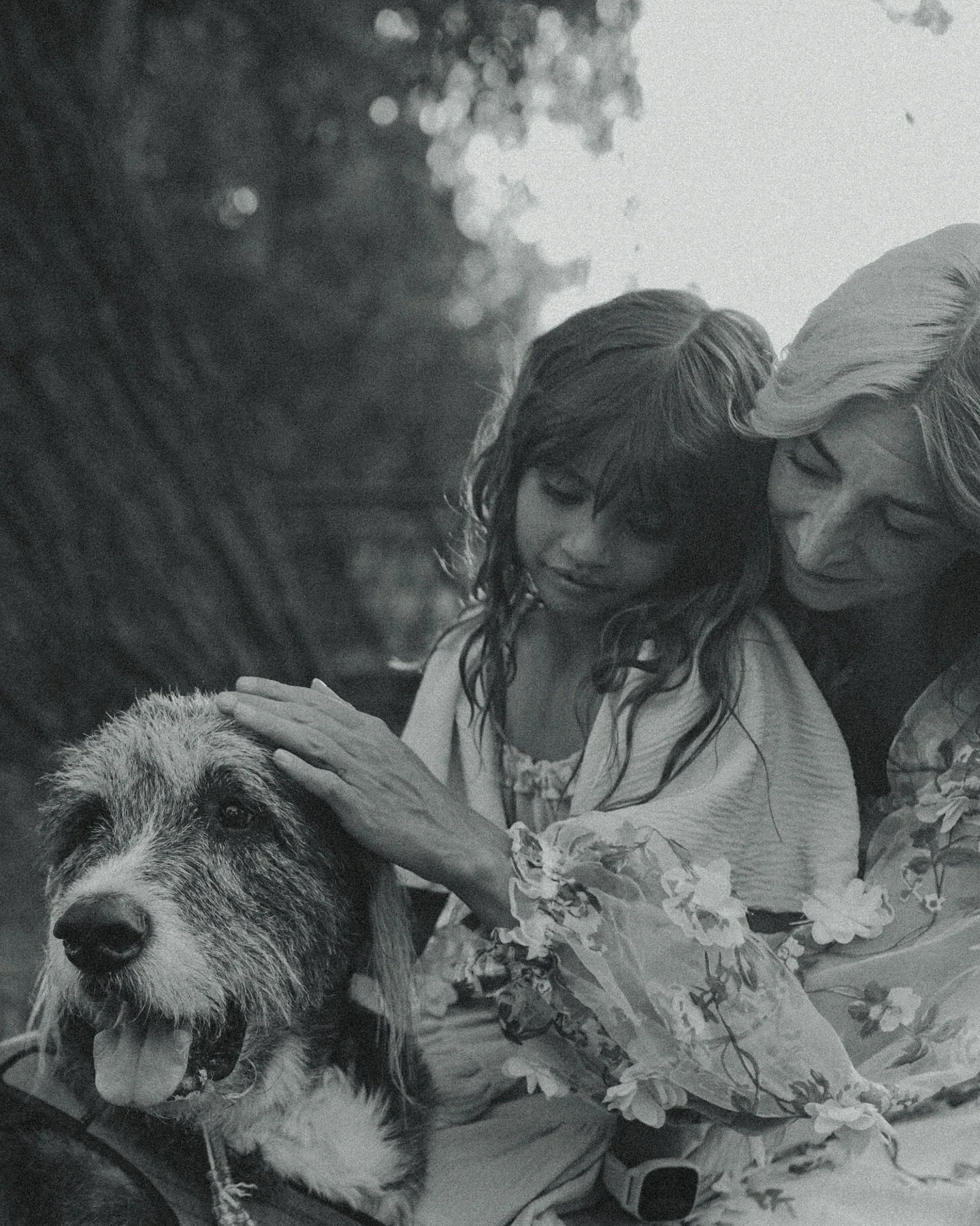 I feel so bittersweet that Emily and Nora have these to  look back on. Skully will always be a part of them ❤️&zwj;🩹 

&bull;
&bull;
&bull;
&bull;
#utahfamilyphotographer #utahphotographer #portraits #lifestylephotography #letthekids #lemonadeandlen
