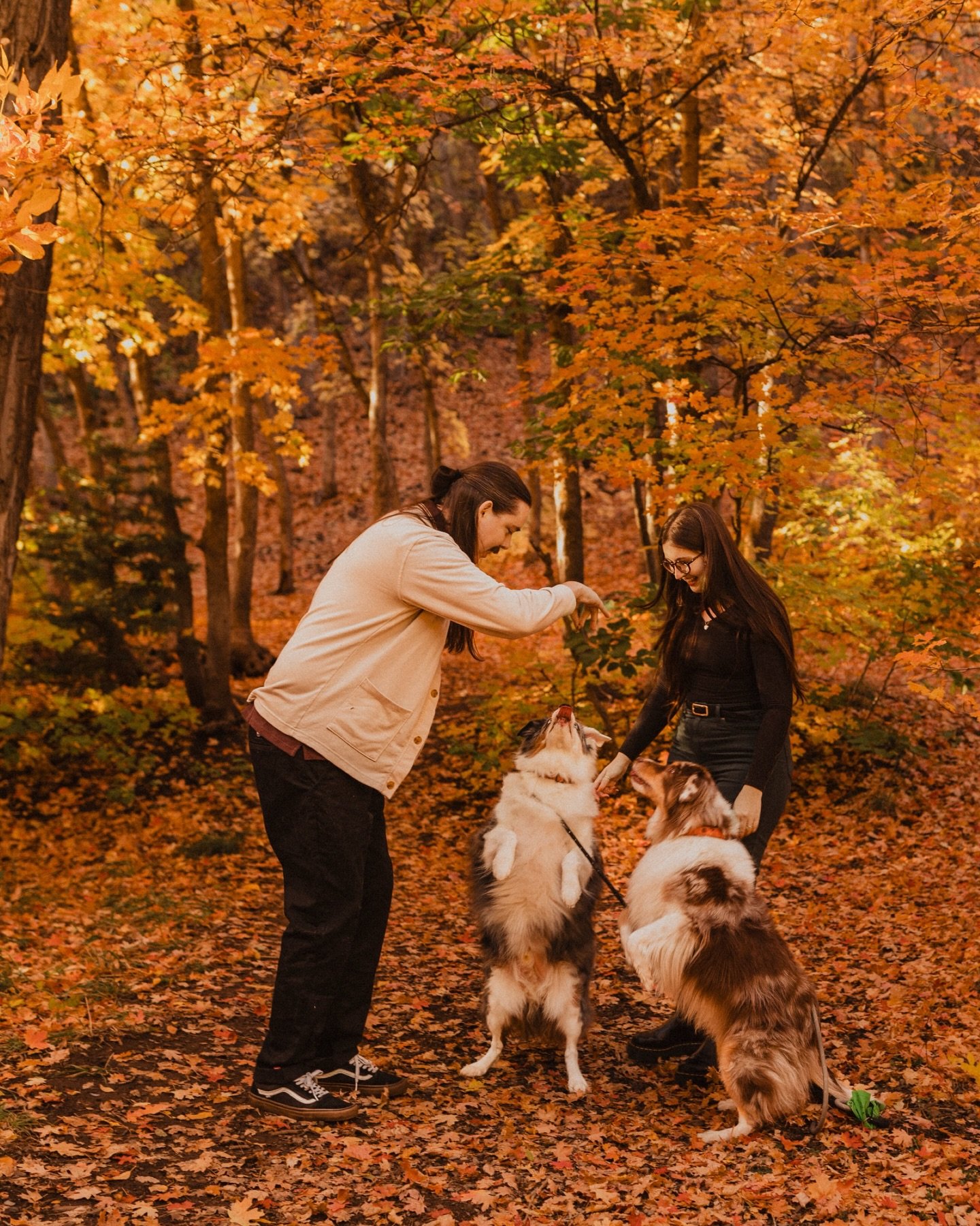 It finally snowed a bit. Fall officially over 🤭 

&bull;
&bull;
&bull;
&bull;
#utahfamilyphotographer #utahphotographer #lifestylephotography #familyphotography