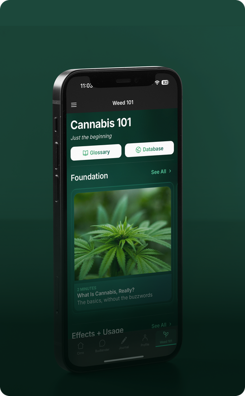 Cannabis 101