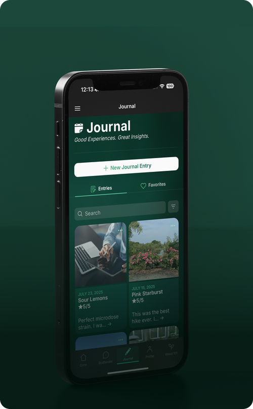 Journal Insights