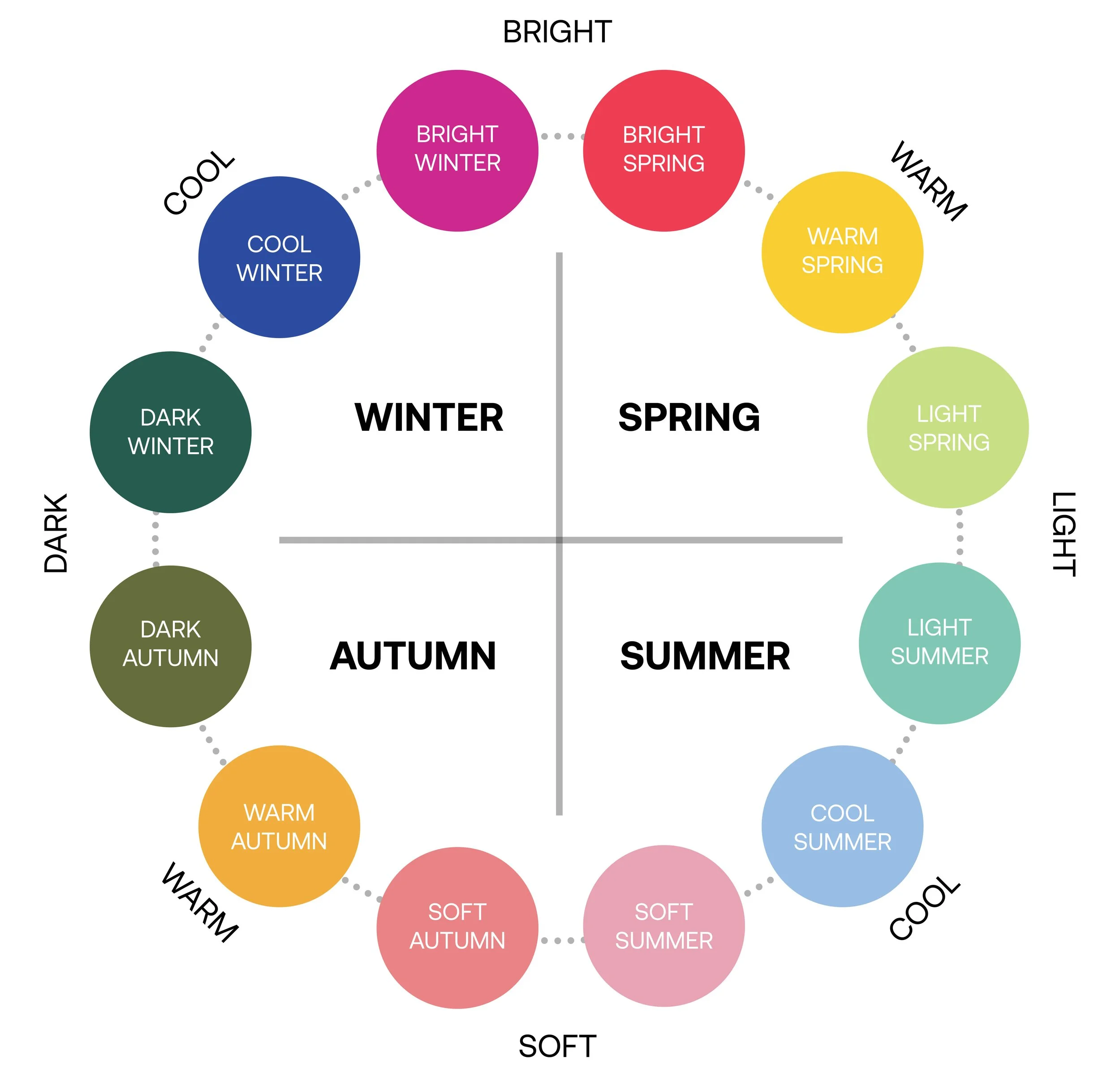 seasonal color analysis chart diagram winter summer spring autumn soft muted bright clear true cool warm deep dark