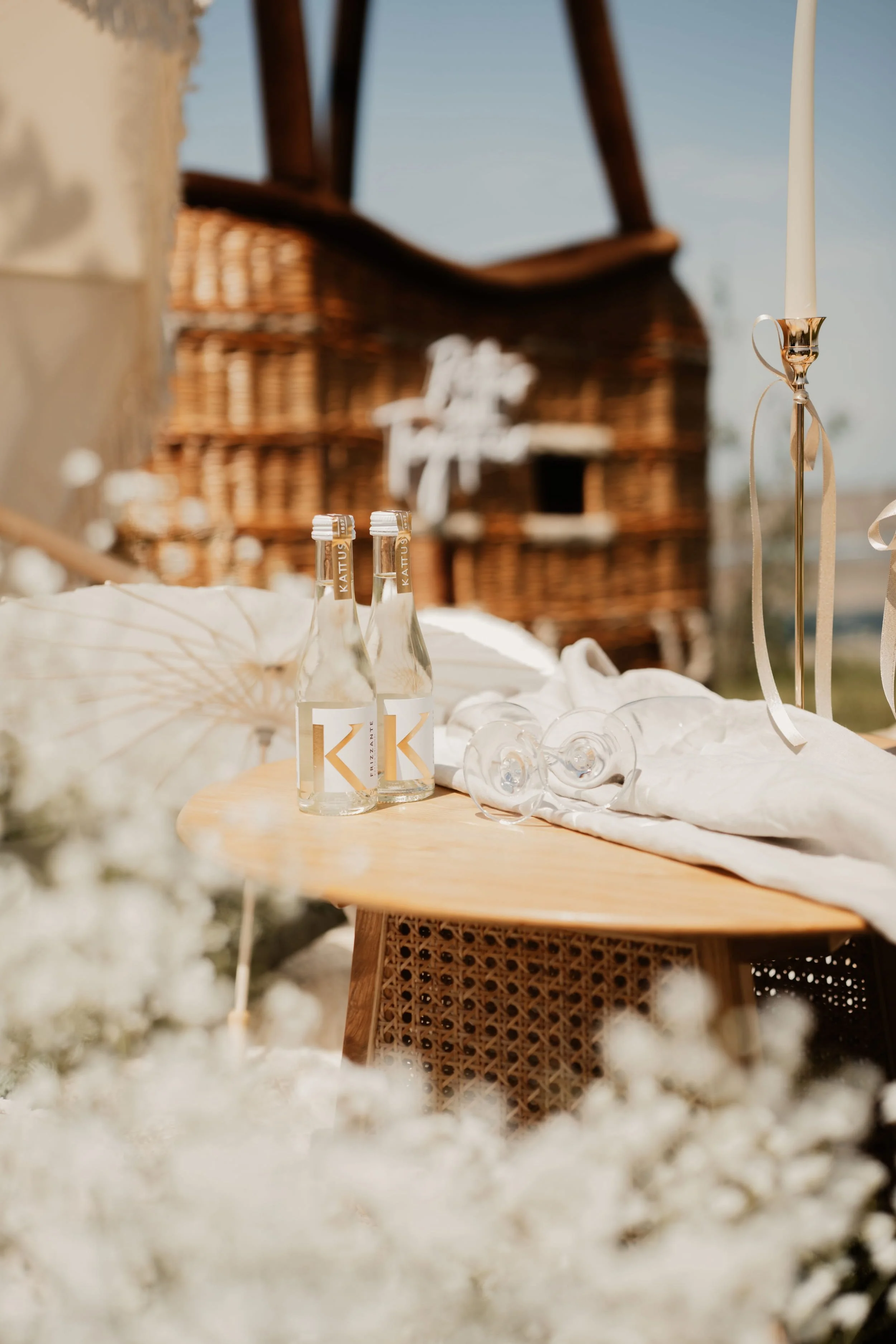 Ballooning Crew_Modern Garden Styled Wedding Shoot_Wedding Picnic_Deko Gläser.jpg