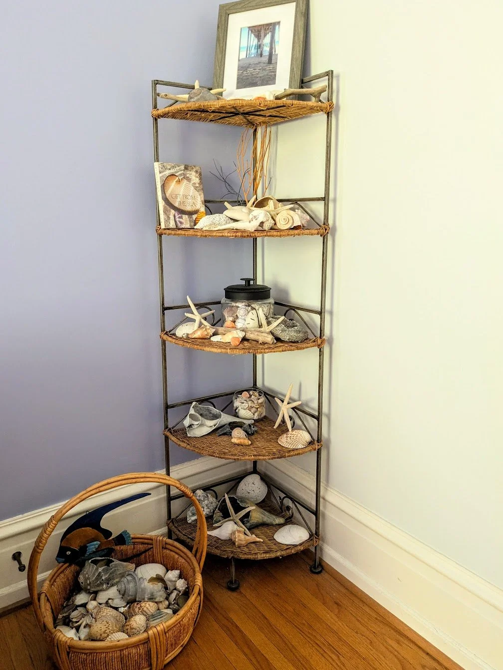 Decorative coastal seashells.