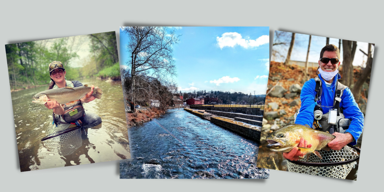Fly fishing on Spring Creek