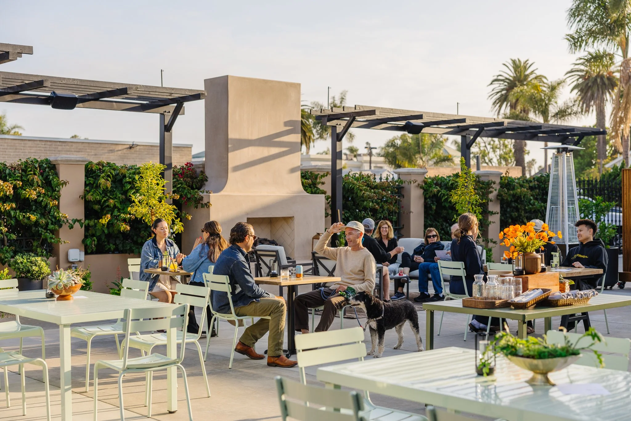 Guests enjoying cocktails and seasonal small bites on the outdoor patio at Palomino in downtown Ventura.