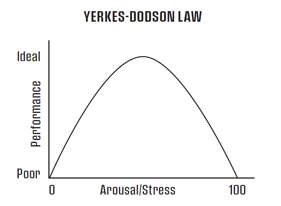 Yerkes-Dodson Law