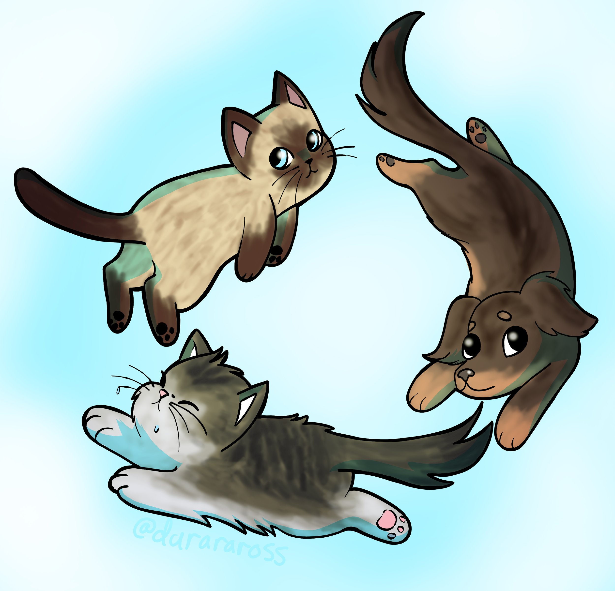 pets copy.jpg
