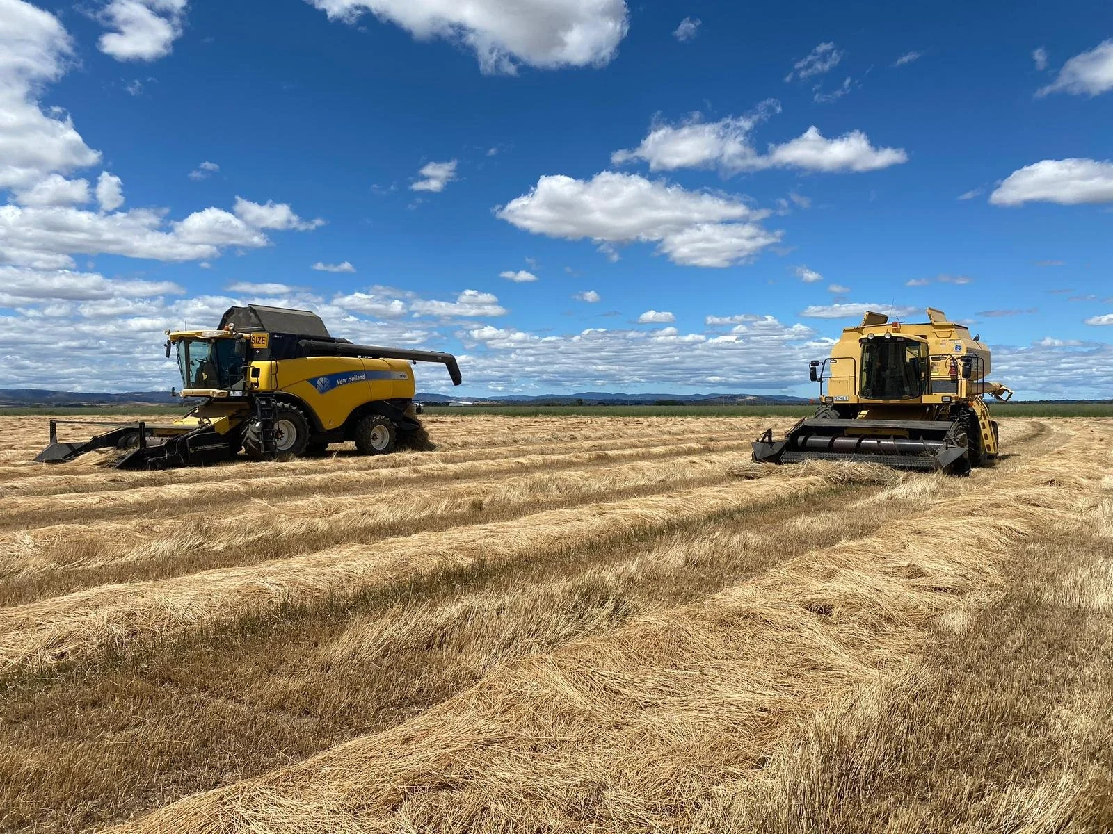 Two large yellow harvesters working in a field under a partly cloudy sky with mountains in the distance.