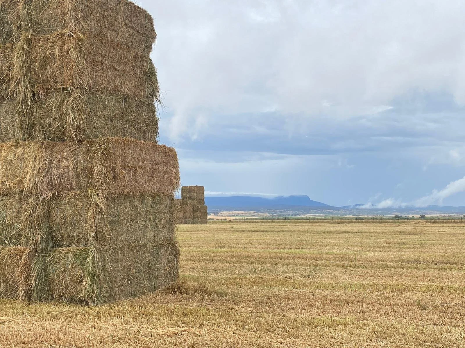 A large stack of hay bales in an open field with a distant view of mountains and a partly cloudy sky.