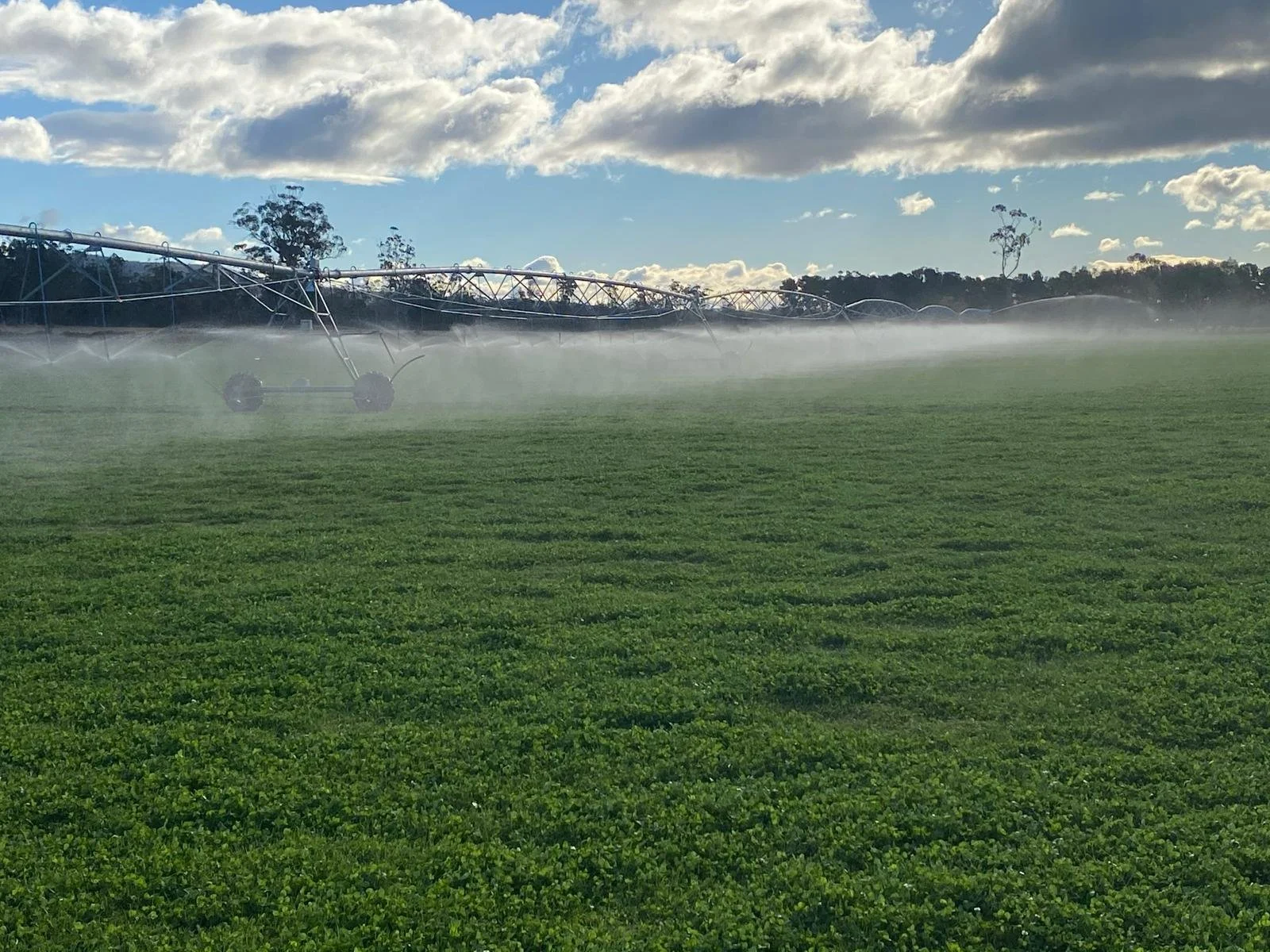 Wide view of a lush green field being irrigated by a large circular sprinkler system, with mist rising from the water and a partly cloudy sky overhead.
