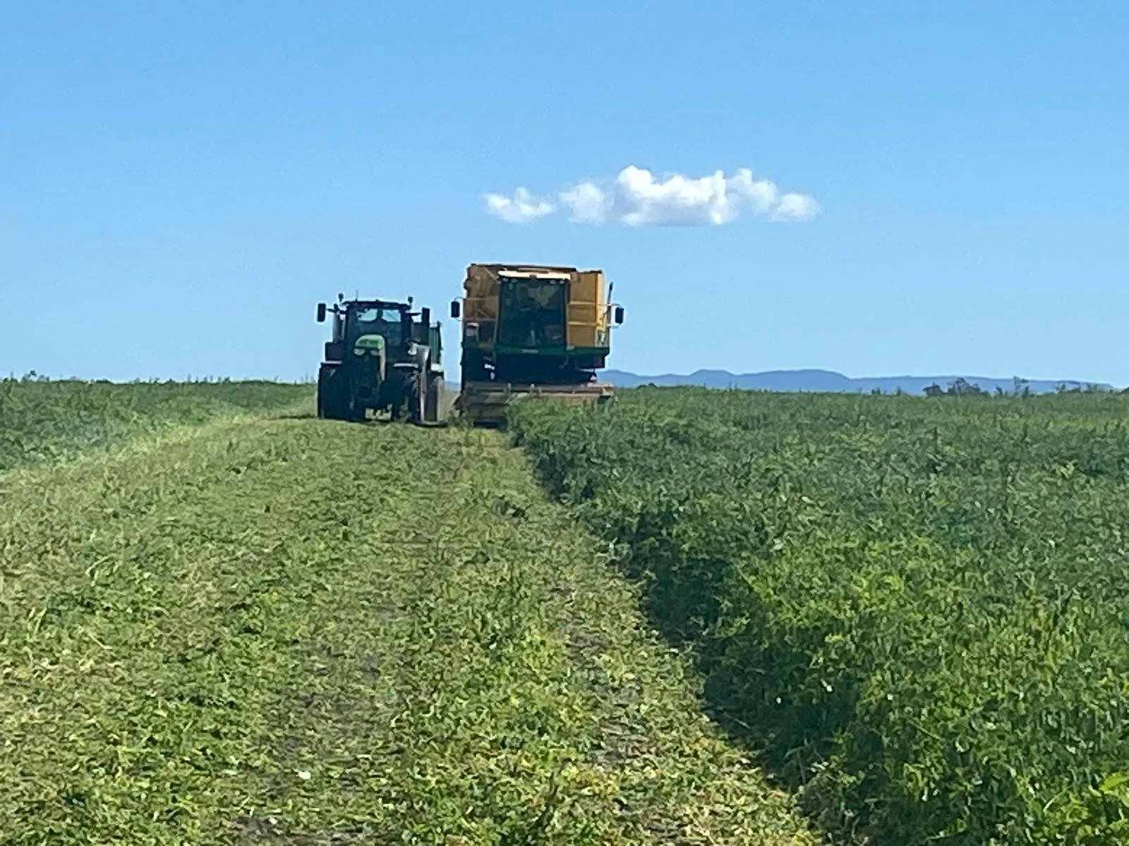 Arable Crops