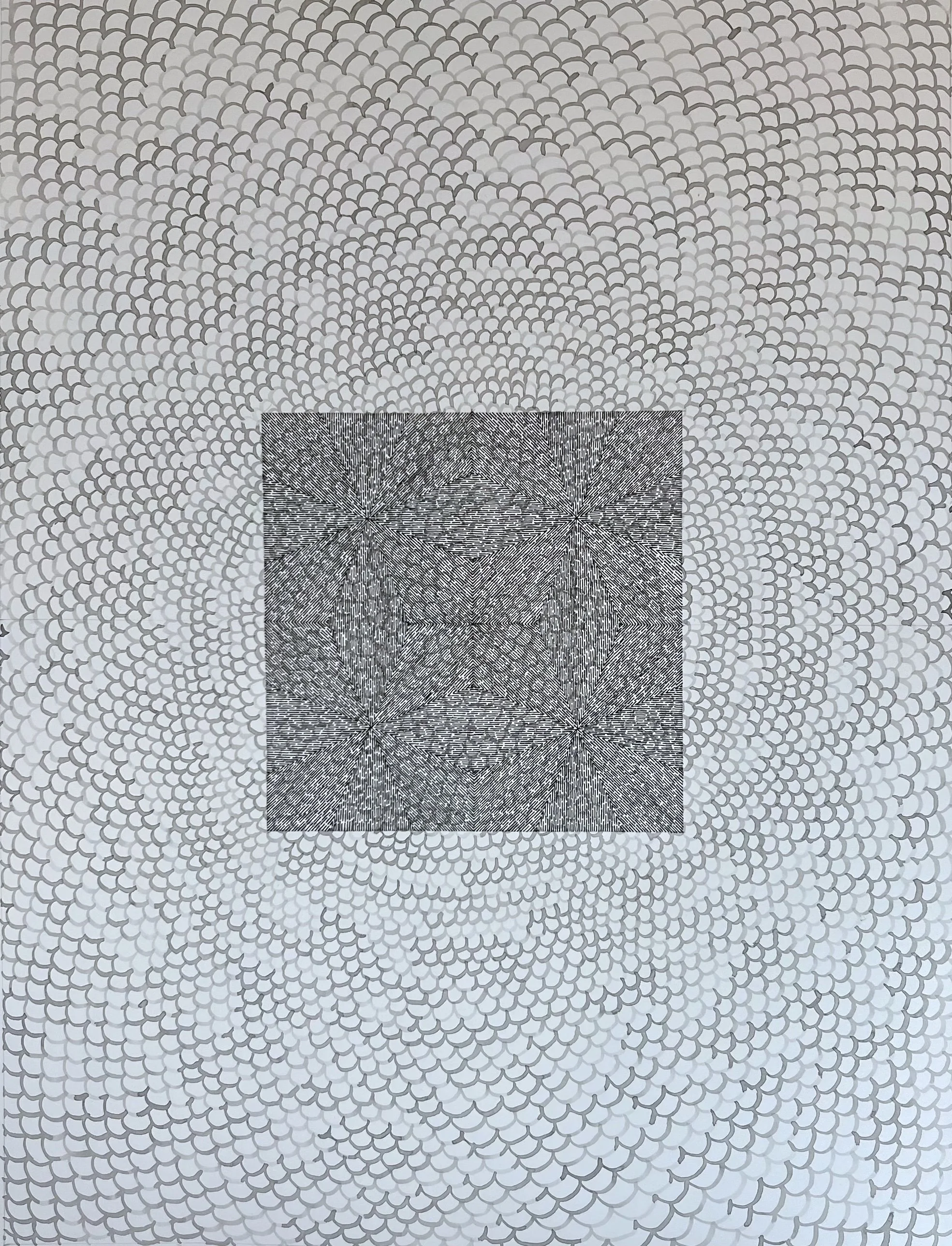 chrysanthemum (2024)