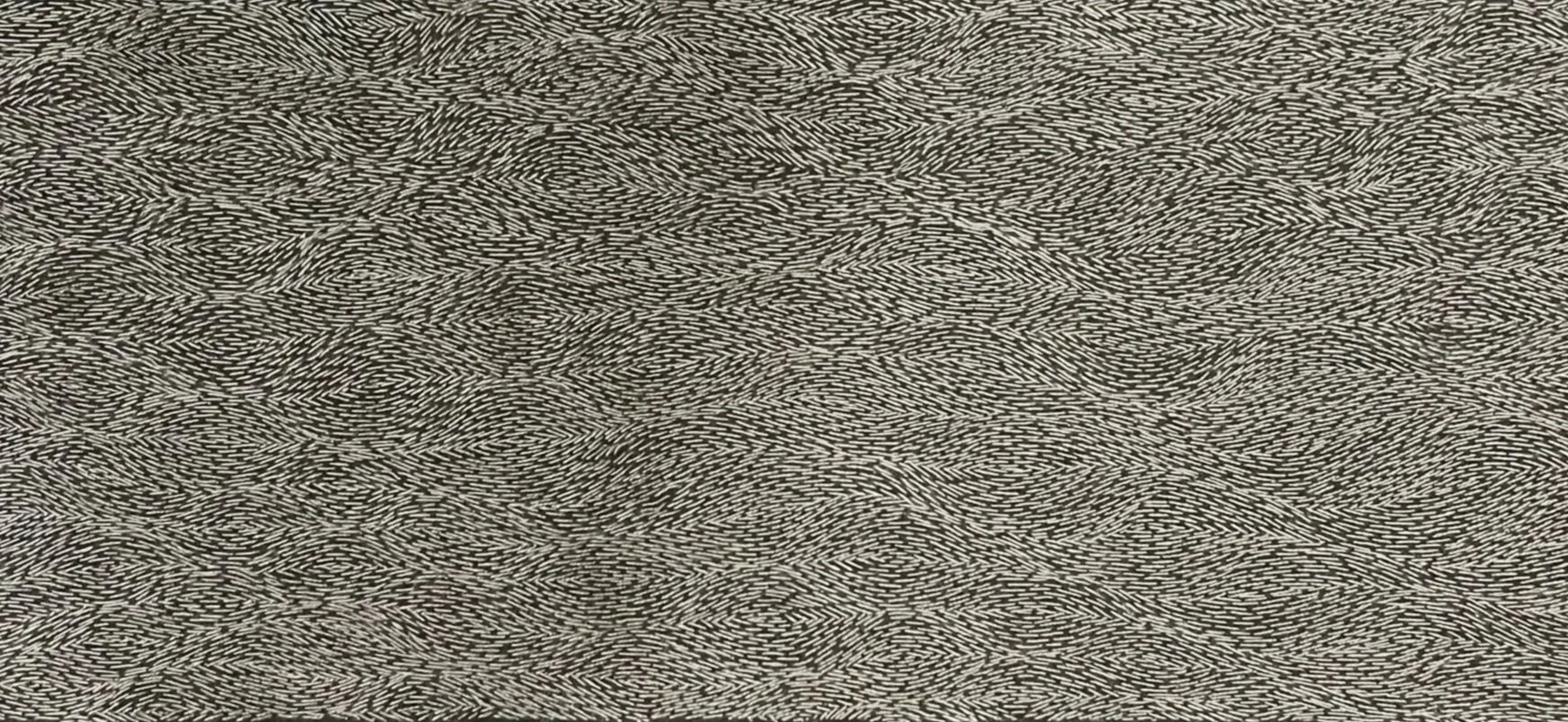 ripples (2026)