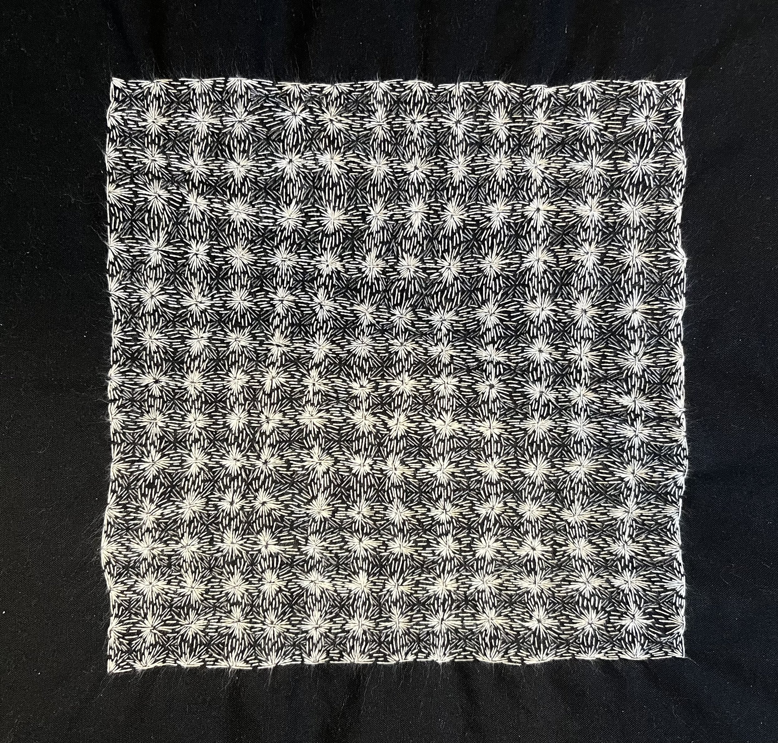 observations of/from a pale blue dot (2025) | not available