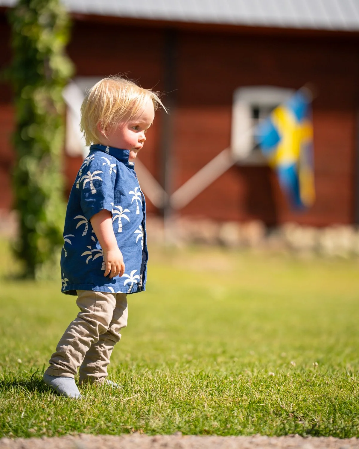 Midsommar2026_55_small.jpg