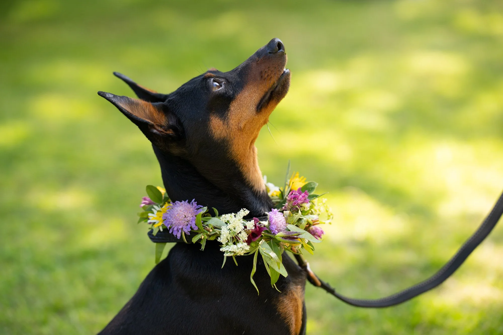 Midsommar2026_37_small.jpg