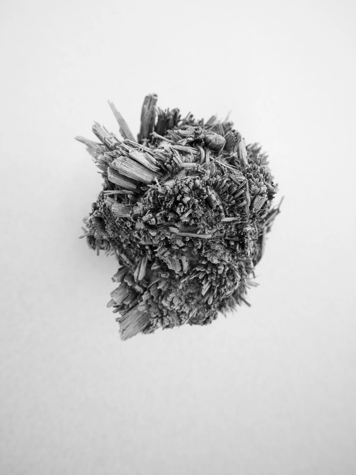 Bornholm100_small.jpg