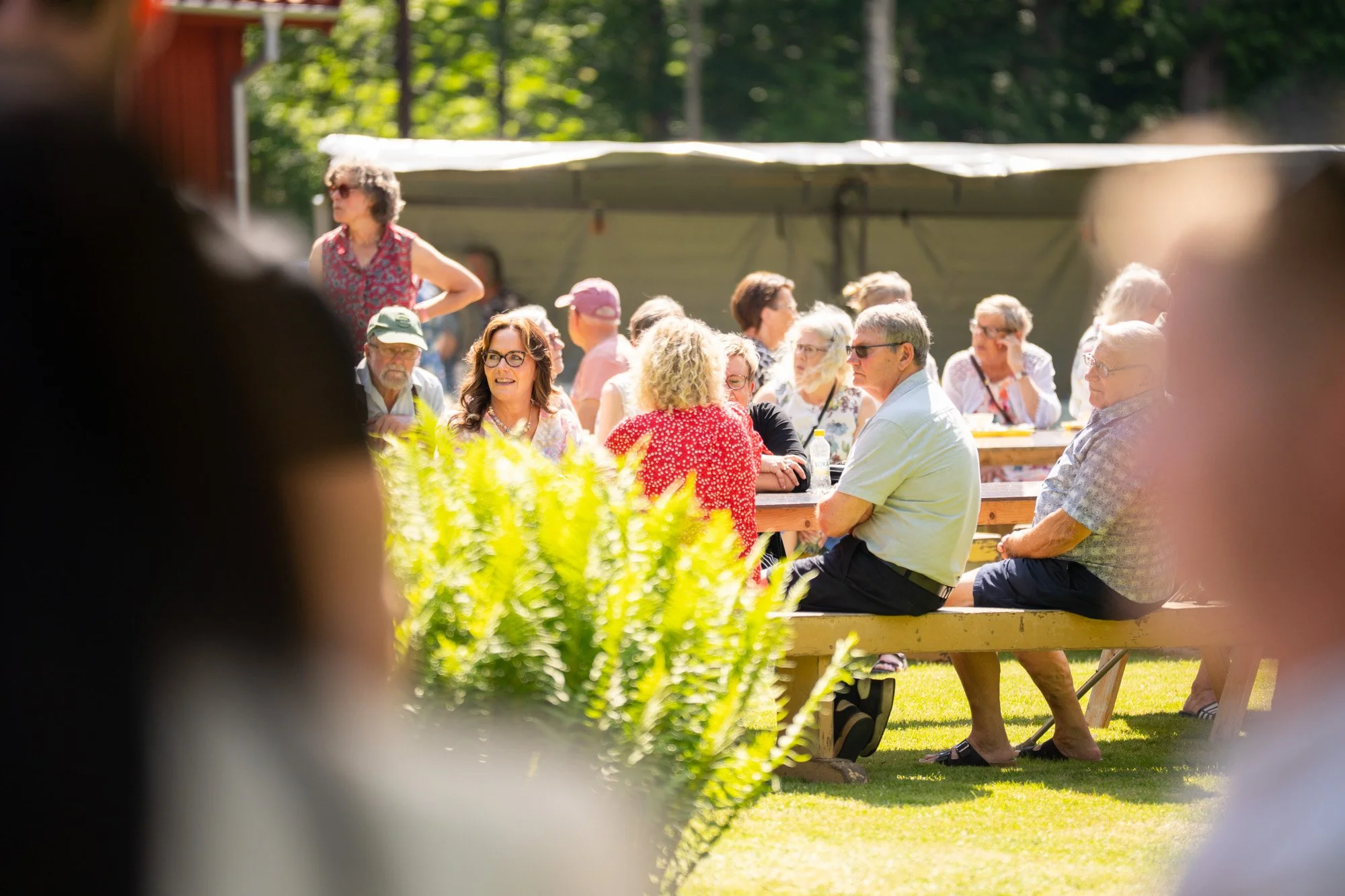 Midsommar2026_45_small.jpg