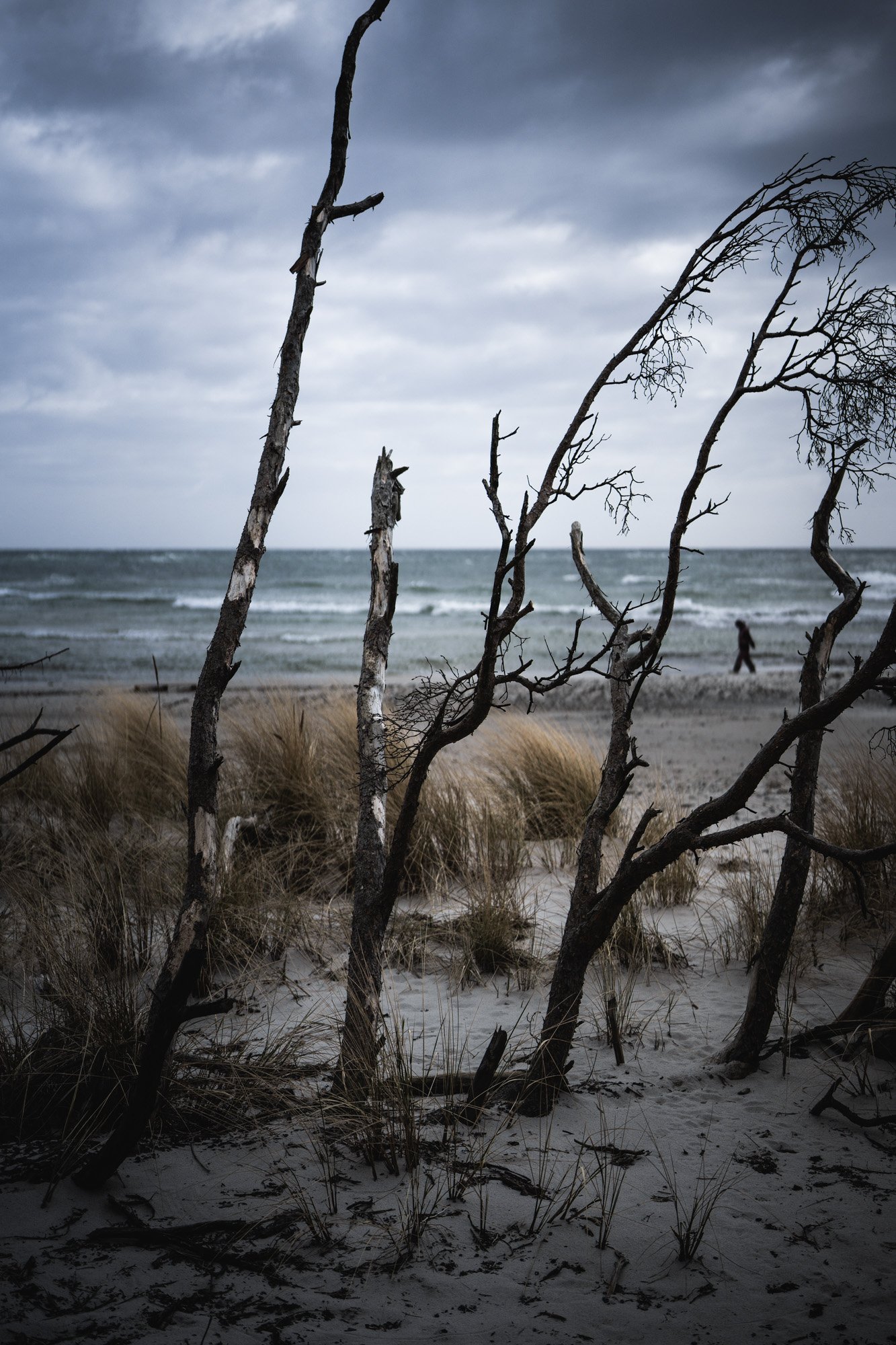 Bornholm110_small.jpg