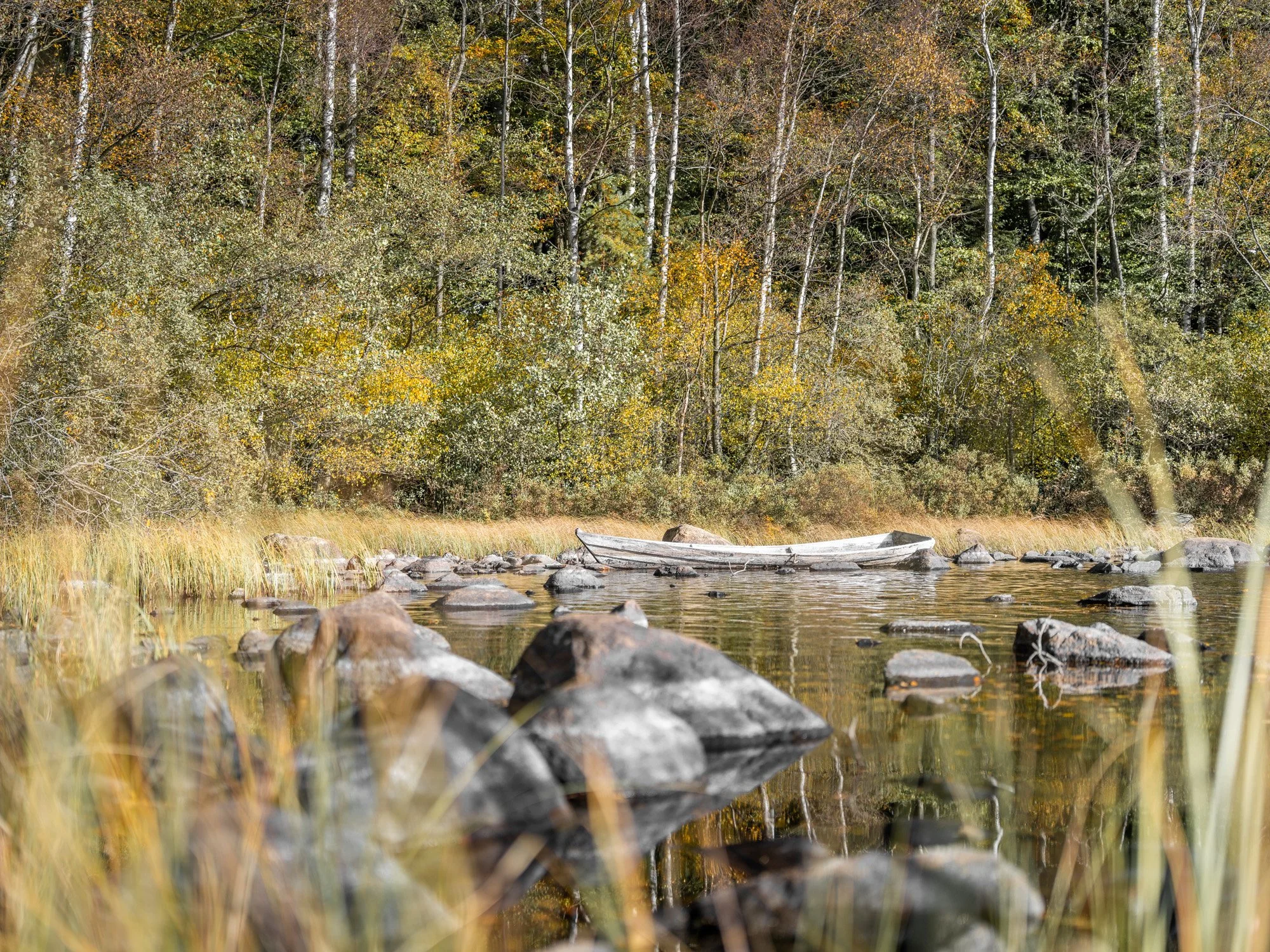 Hensjön012_small.jpg