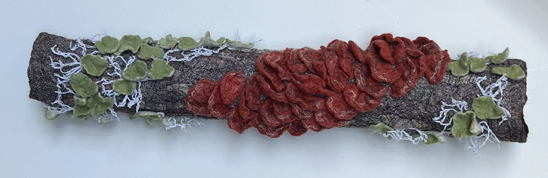 "Epiphytes 11" 2024, wool roving, embroidery thread, cotton fabric, gauze (6 x 24 x 4")