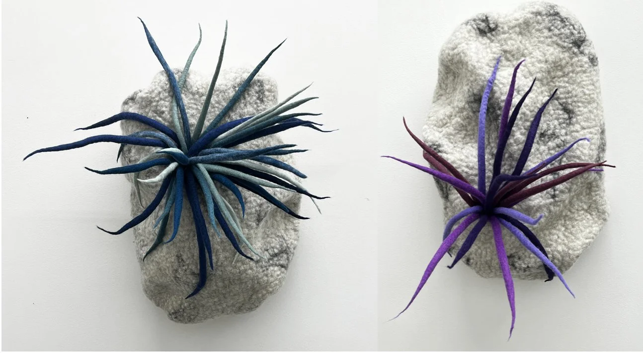 "Bird's Nest 7" 2024, wool roving (15 x 12 x 10");  "Bird's Nest 8" 2024, wool roving (15 x 10 x 10")