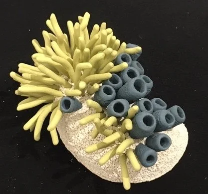 "Coral Reminders 42" 2020, clay, mason stains (6 x 13 x 9") 