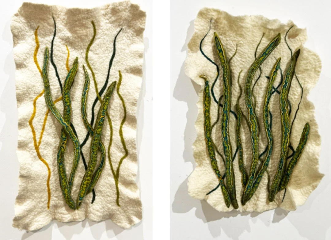 "Sea Grass 1" 2023, wool roving (27 x 14 x 2");          "Sea Grass 2" 2023, wool roving (25 x 16 x 3")