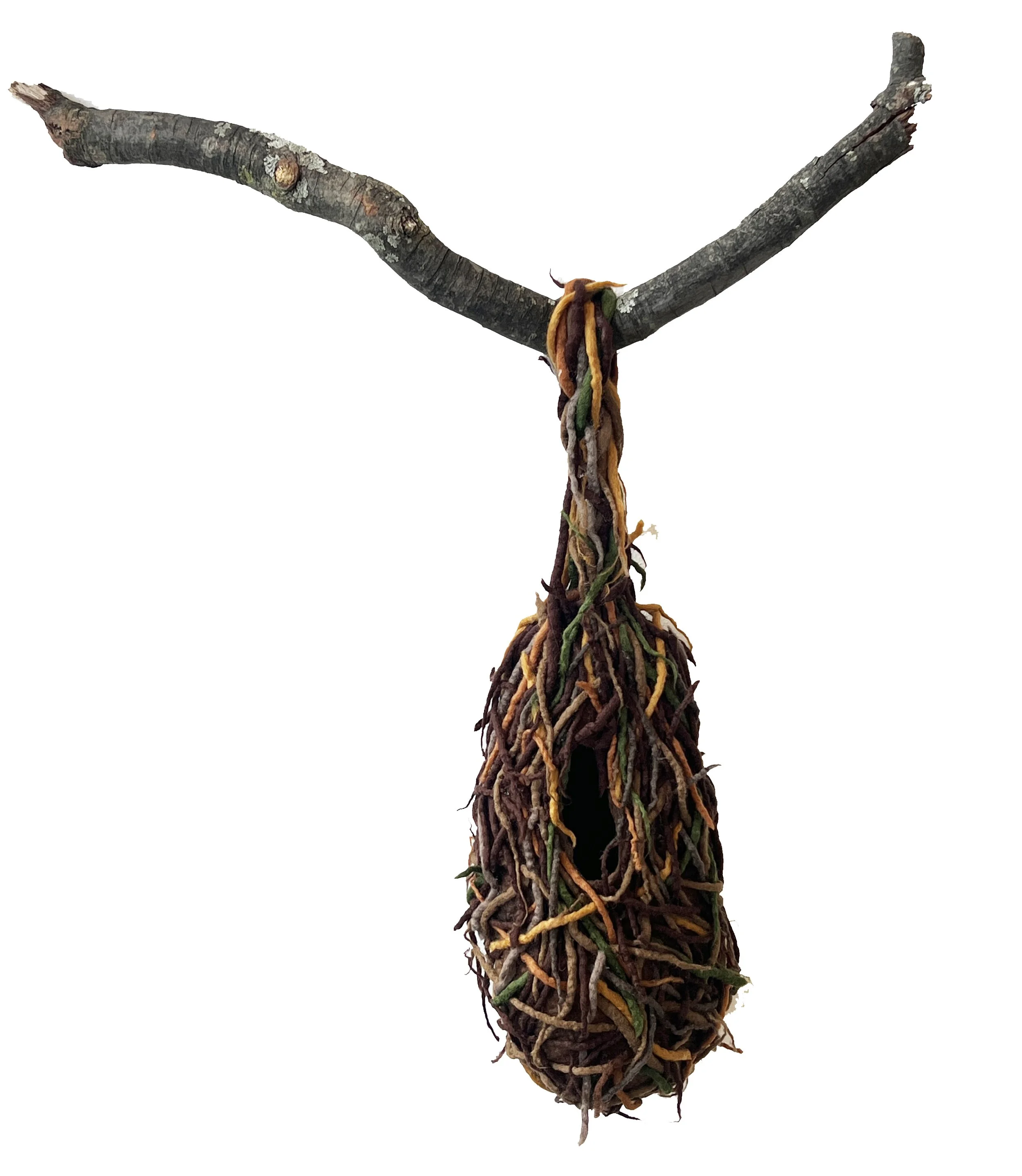 "Weaver's Nest 2" 2025, wool roving, tree branch (26 x 19 X 6")